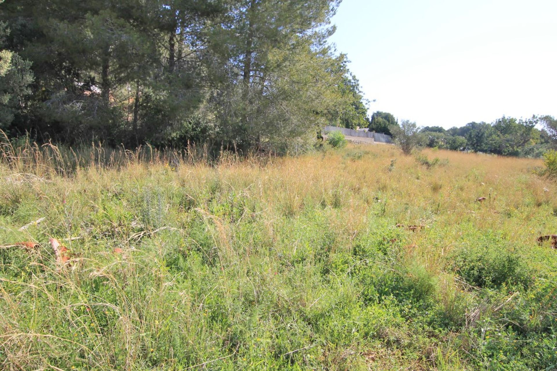 Land in Jávea, Comunidad Valenciana 10740948