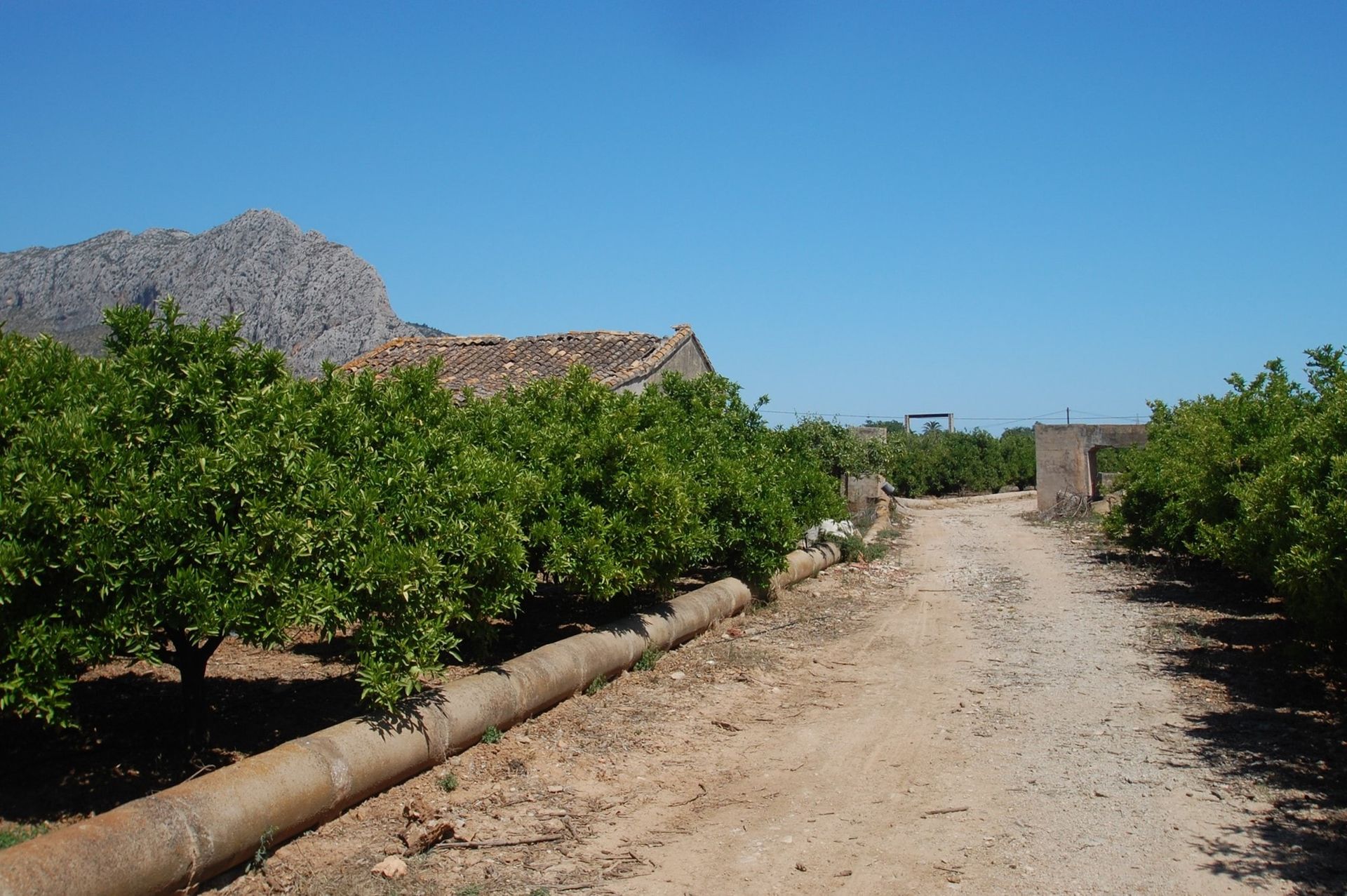 Tanah di Ondara, Comunidad Valenciana 10741121