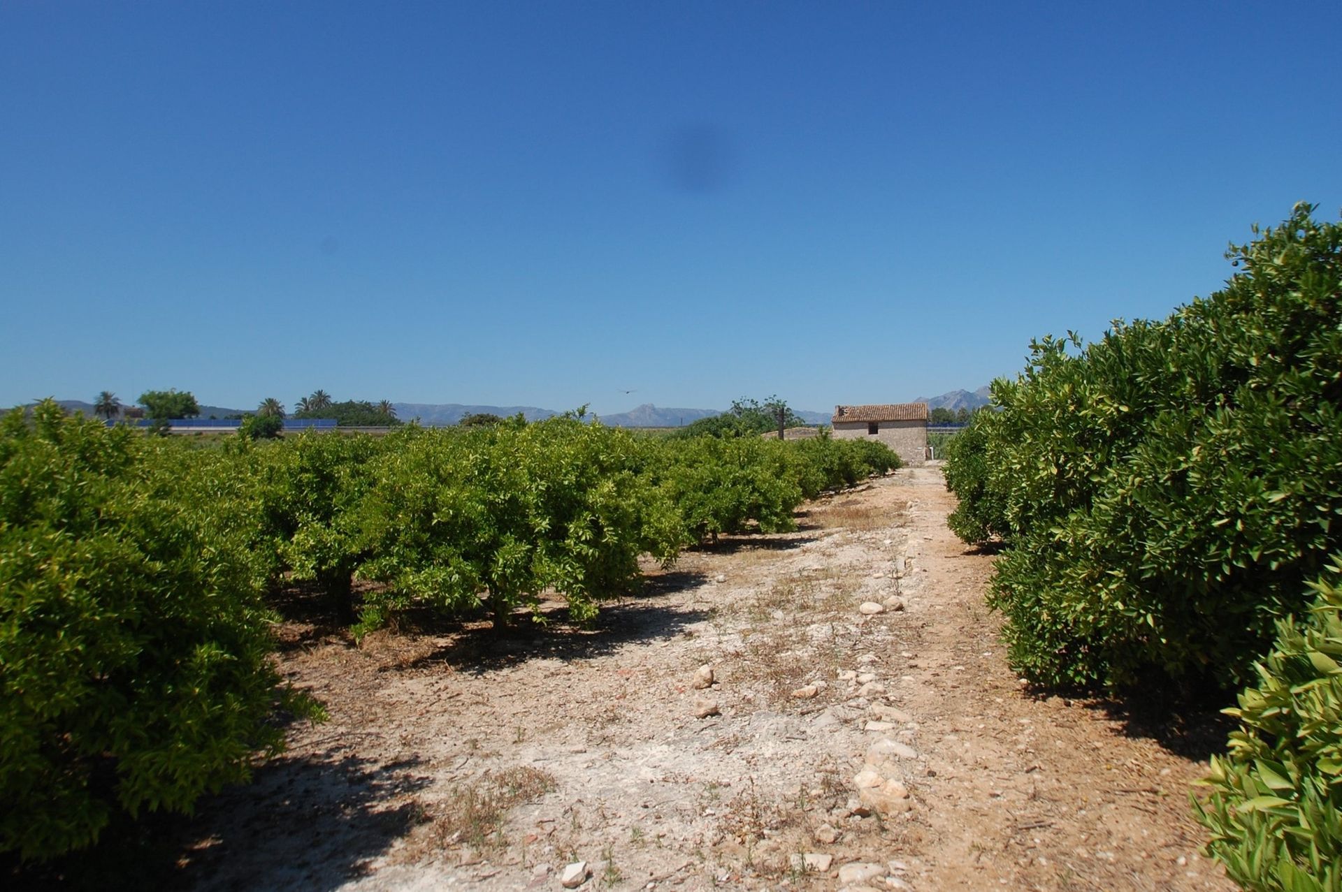 Tanah dalam Ondara, Valencia 10741121