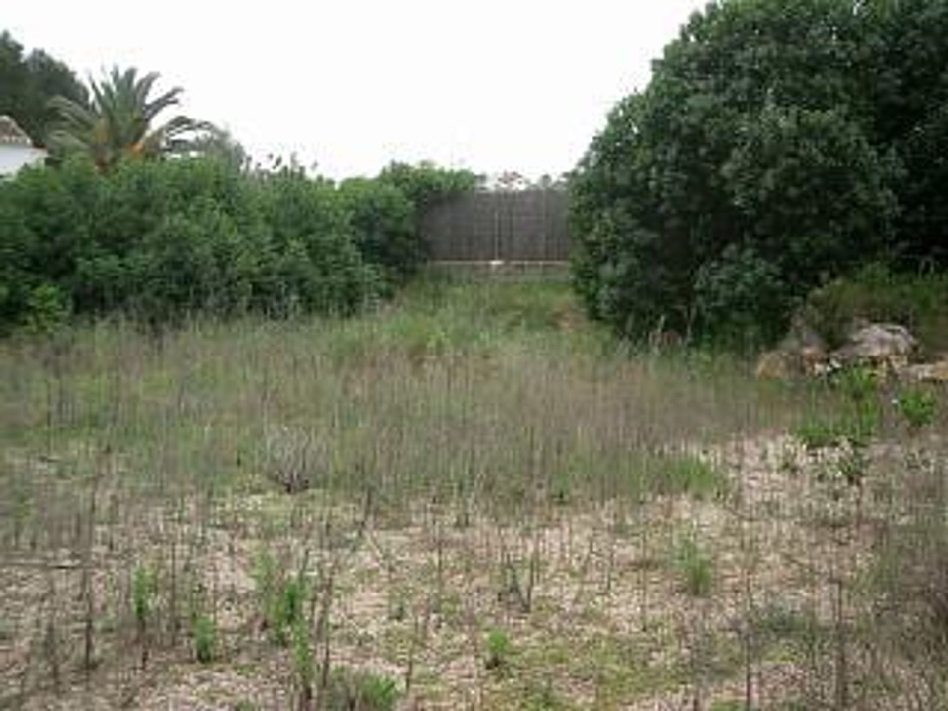 Land i Javea, Valencia 10741142