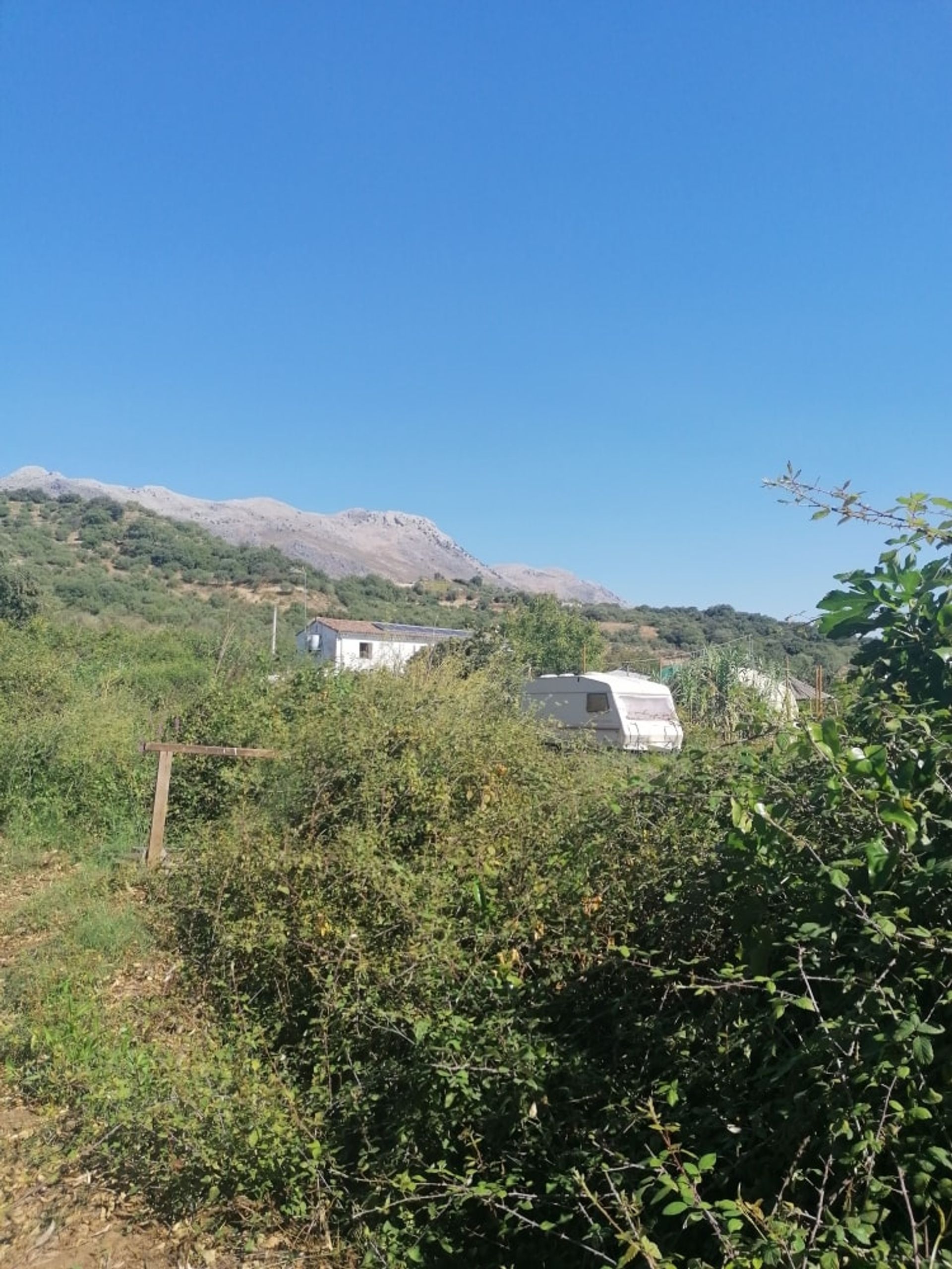 Casa nel Cortes de la Frontera, Andalucía 10741426