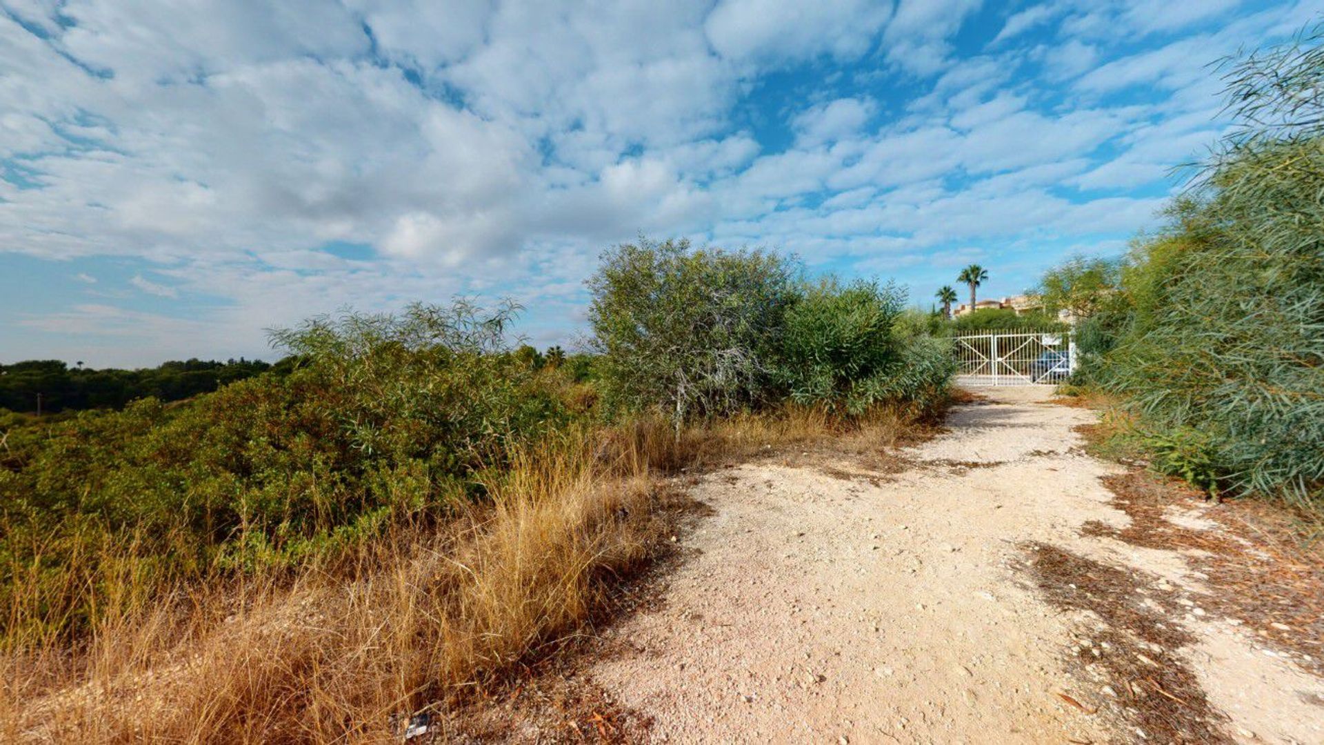 Terra no Campoamor, Valência 10741504