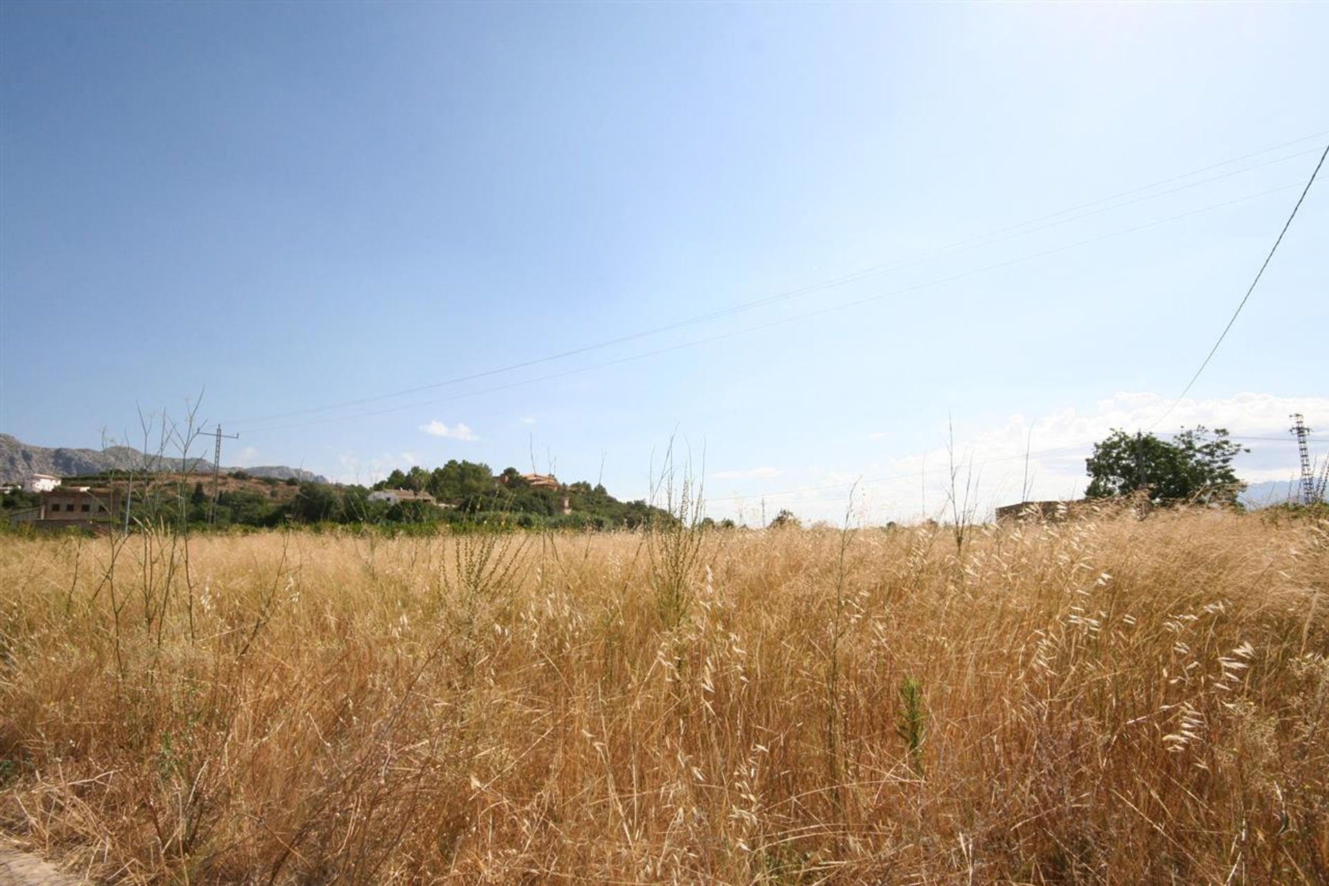 Tierra en Sanet i Els Negrals, Comunidad Valenciana 10741661