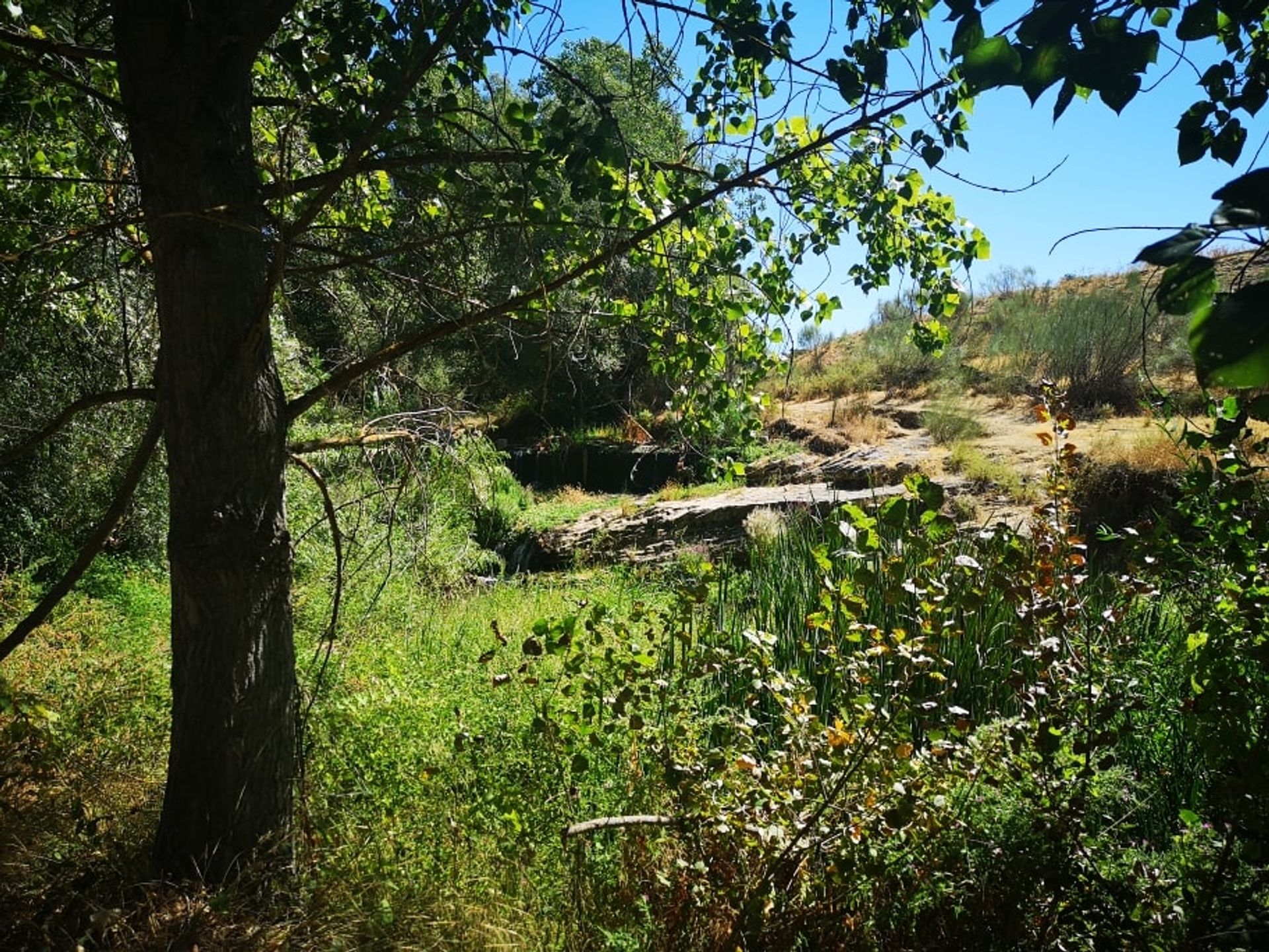 Βιομηχανικός σε Ronda, Andalucía 10741694