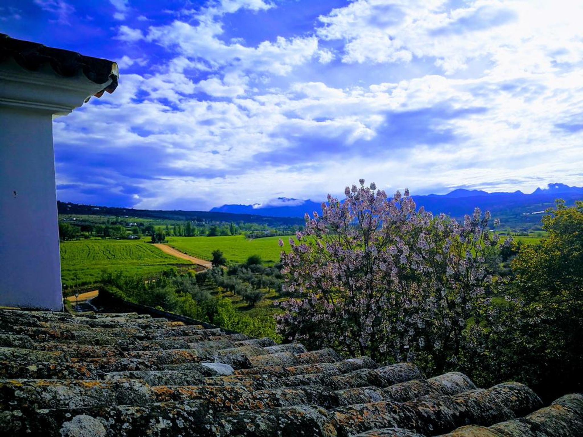 Teollinen sisään Ronda, Andalucía 10741719