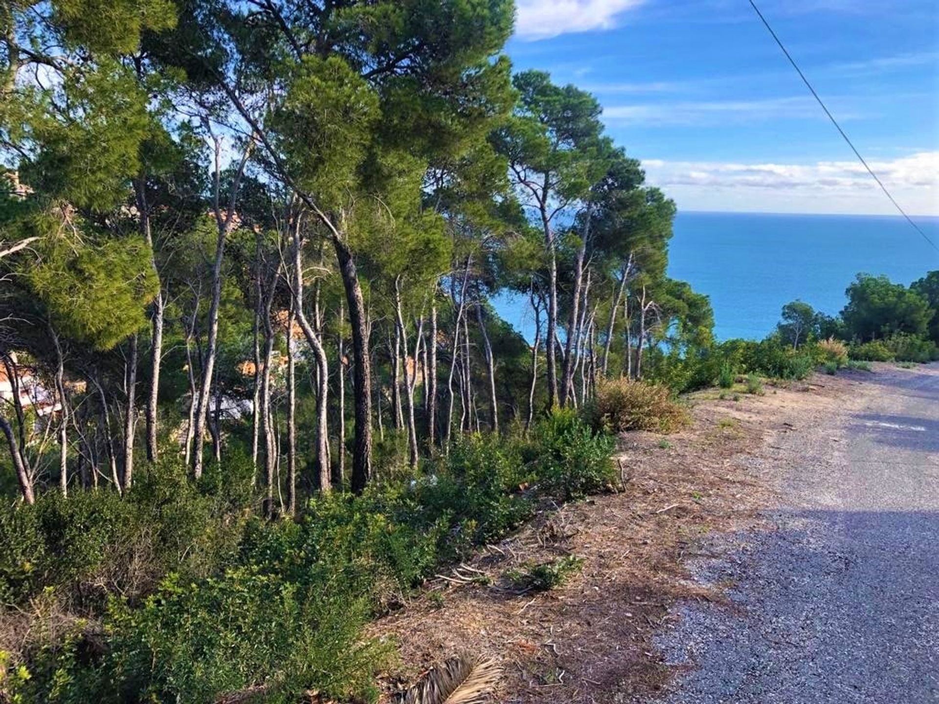 Land im Jávea, Comunidad Valenciana 10741779