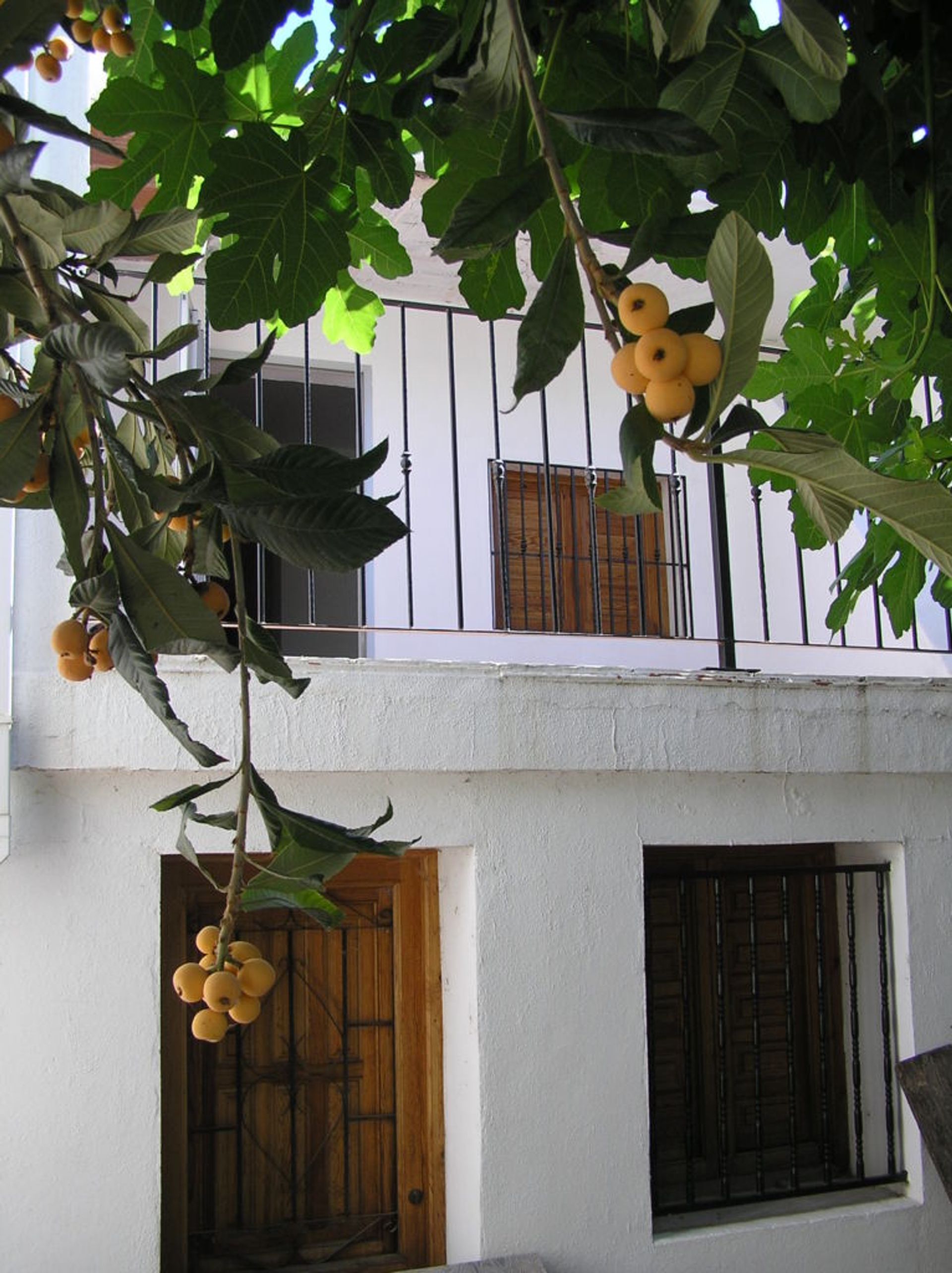 Tanah di Jávea, Comunidad Valenciana 10741913