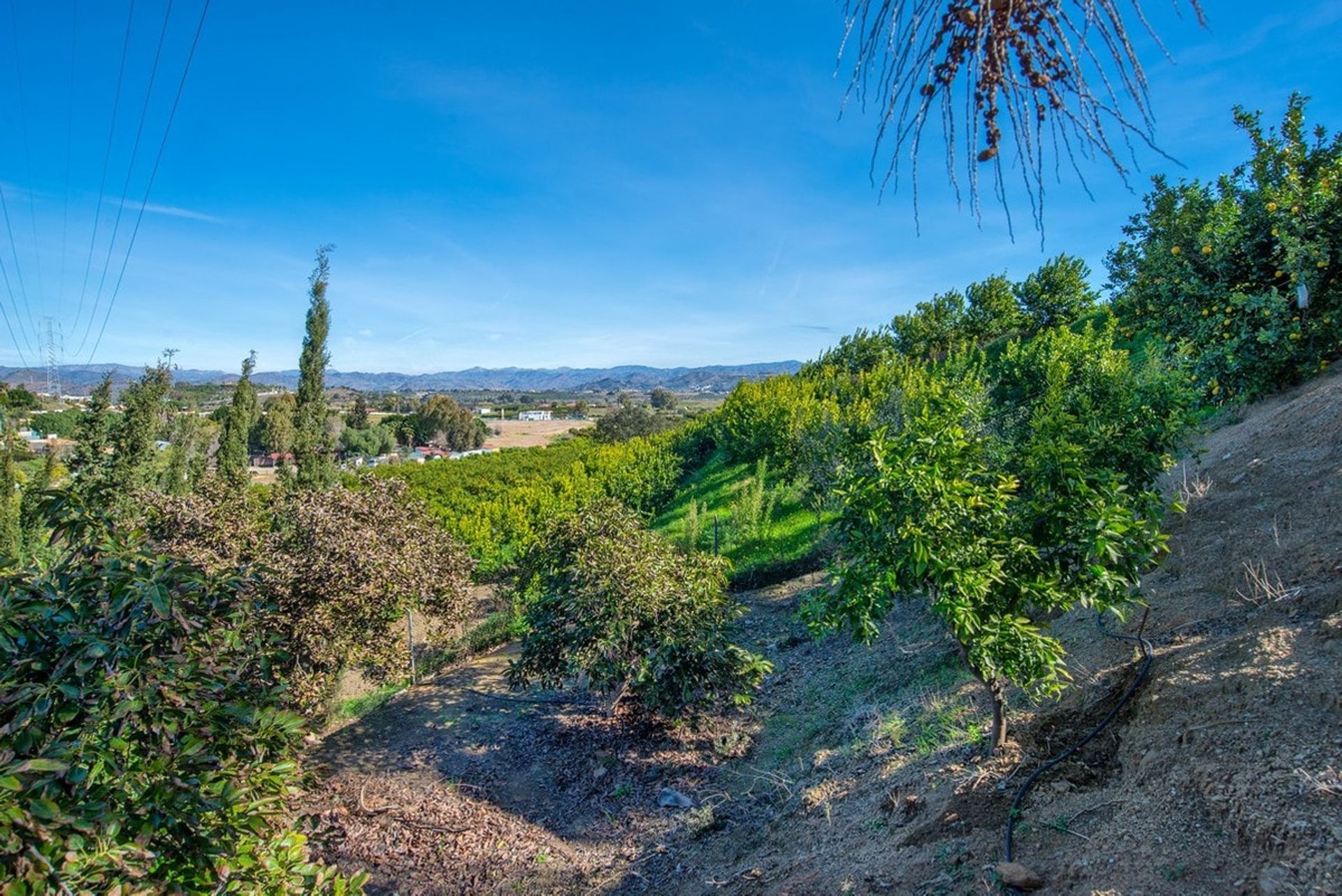 房子 在 Alhaurín de la Torre, Andalucía 10742037