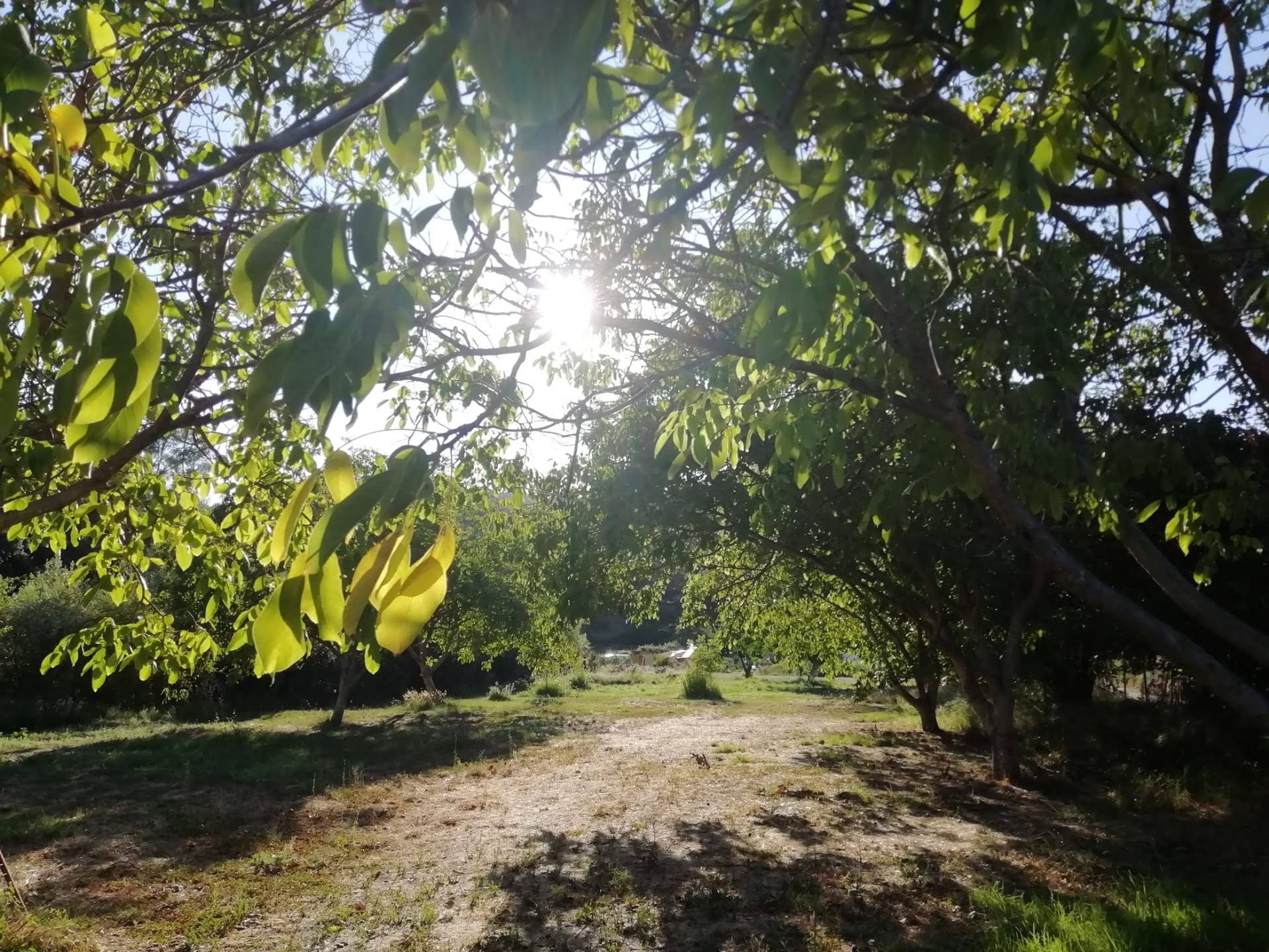 loger dans Alcaucín, Andalucía 10742056