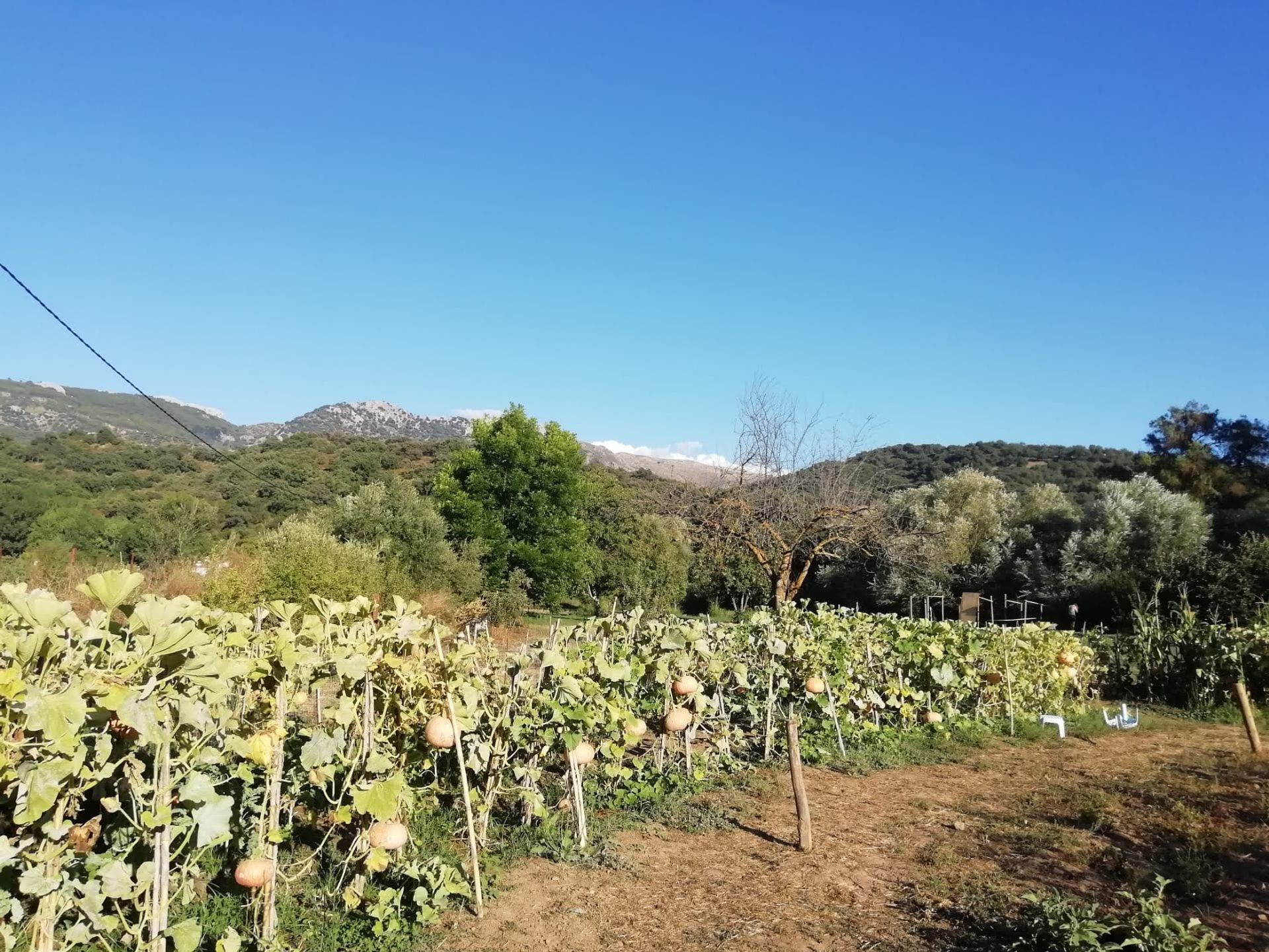 loger dans Alcaucín, Andalucía 10742056