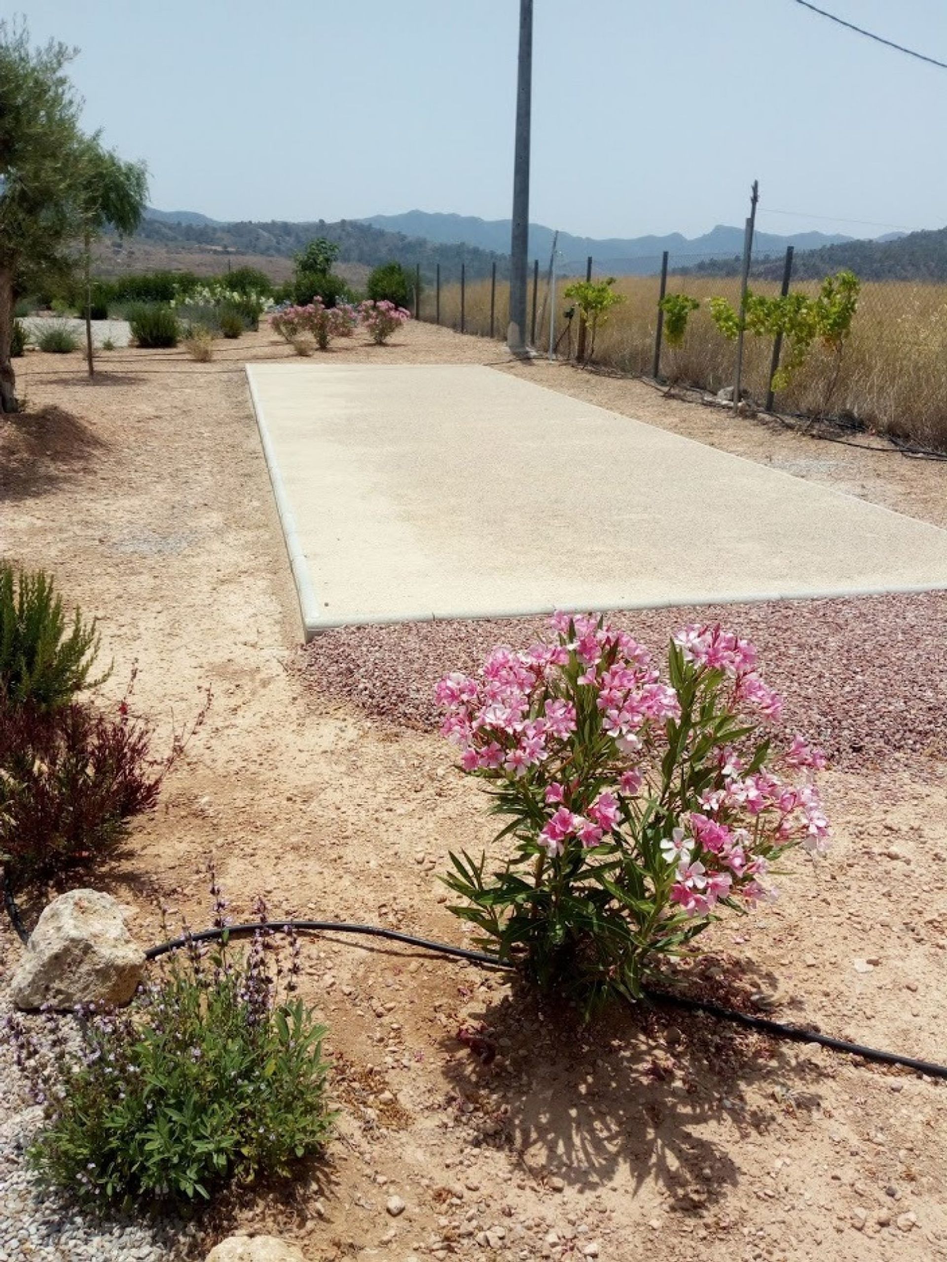 loger dans Abanilla, Región de Murcia 10742103