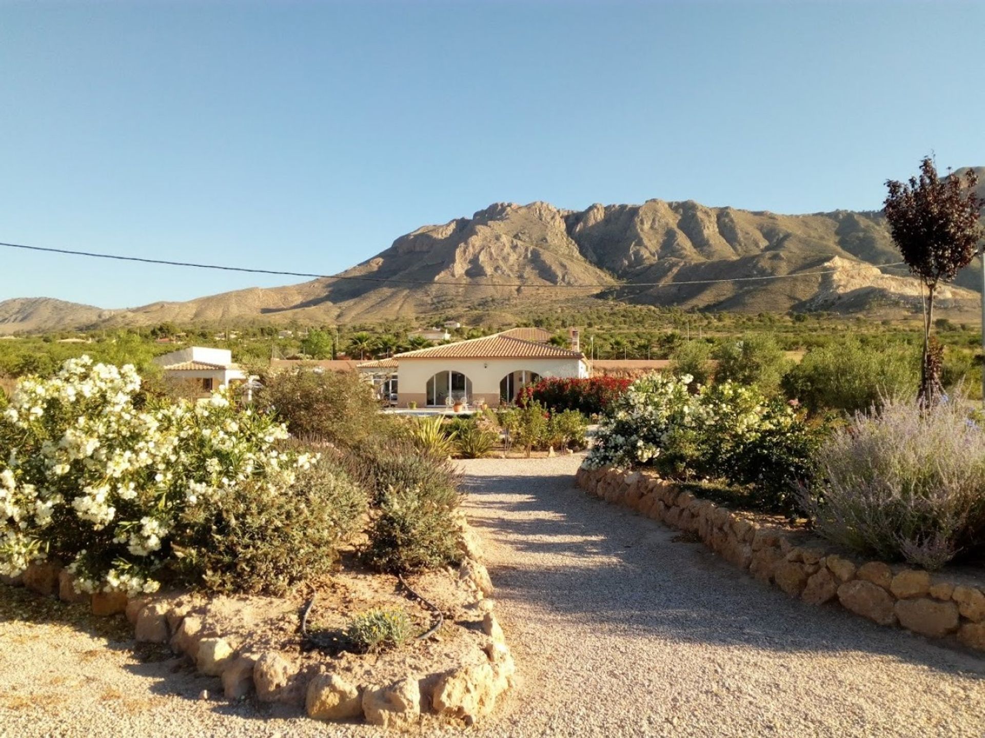 casa en Abanilla, Región de Murcia 10742103