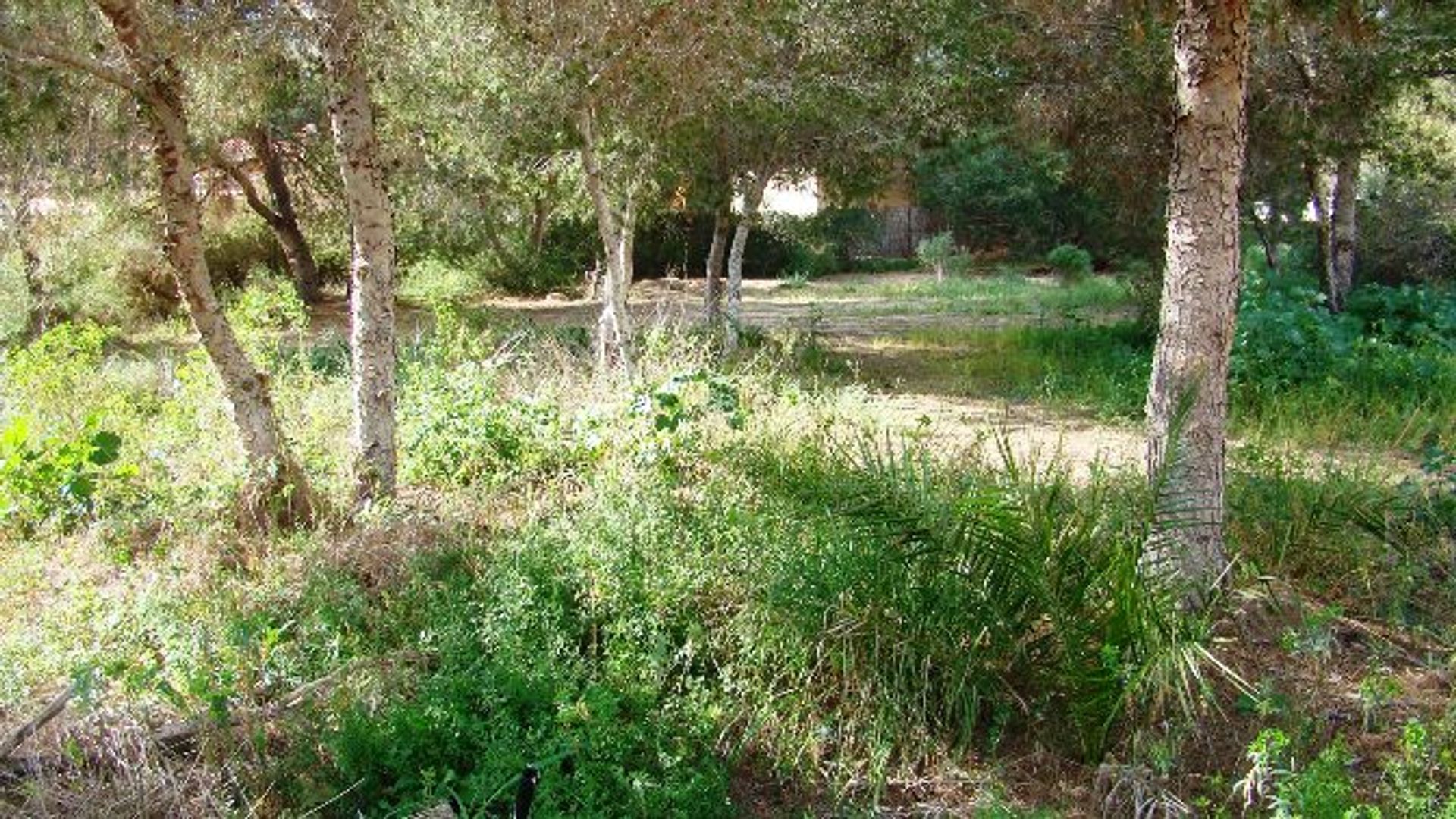 жилой дом в Rincón de la Victoria, Andalucía 10742290