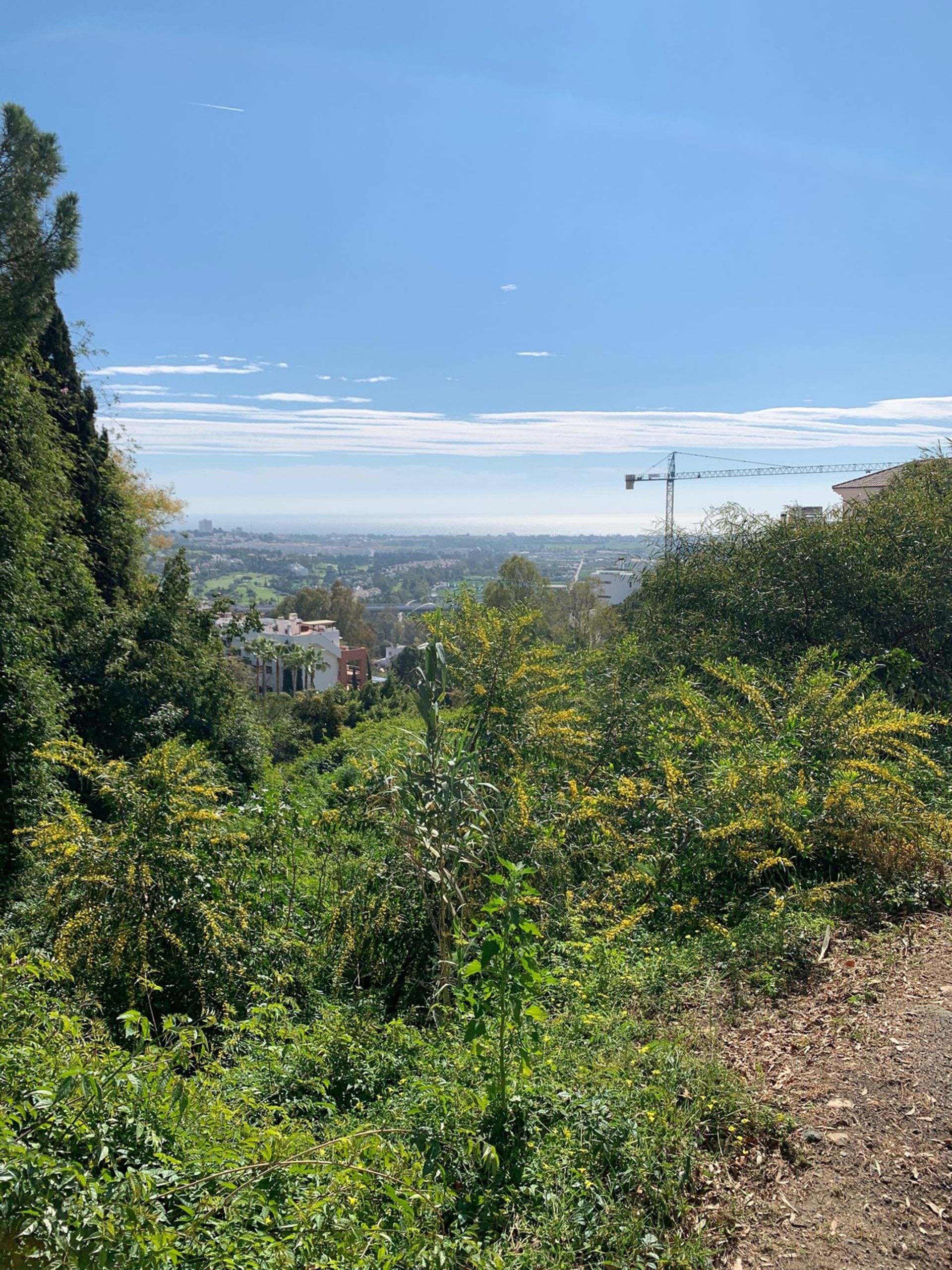 Land in San Pedro de Alcántara, Andalusië 10742455