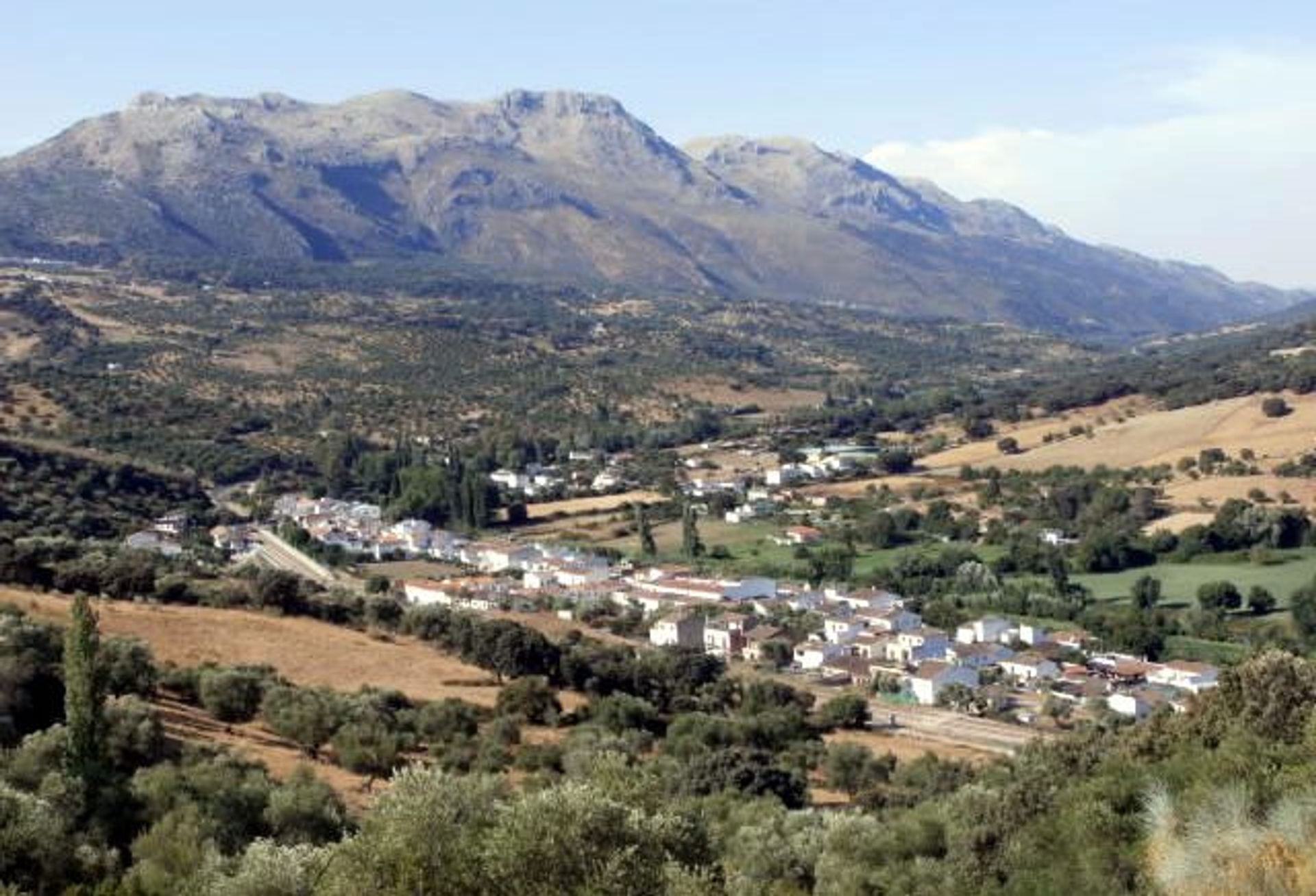 σπίτι σε Cortes de la Frontera, Andalucía 10742491