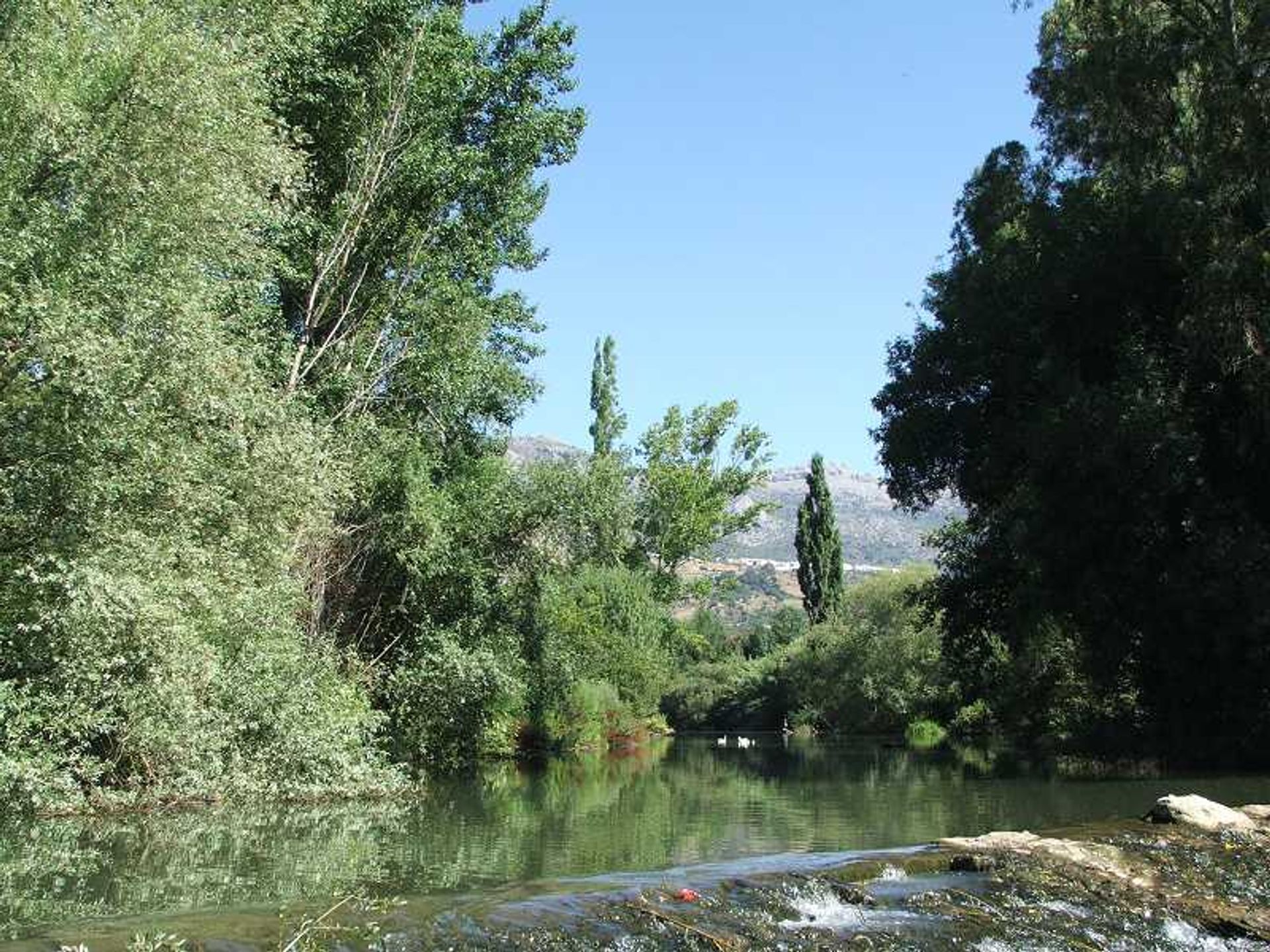 σπίτι σε Cortes de la Frontera, Andalucía 10742491