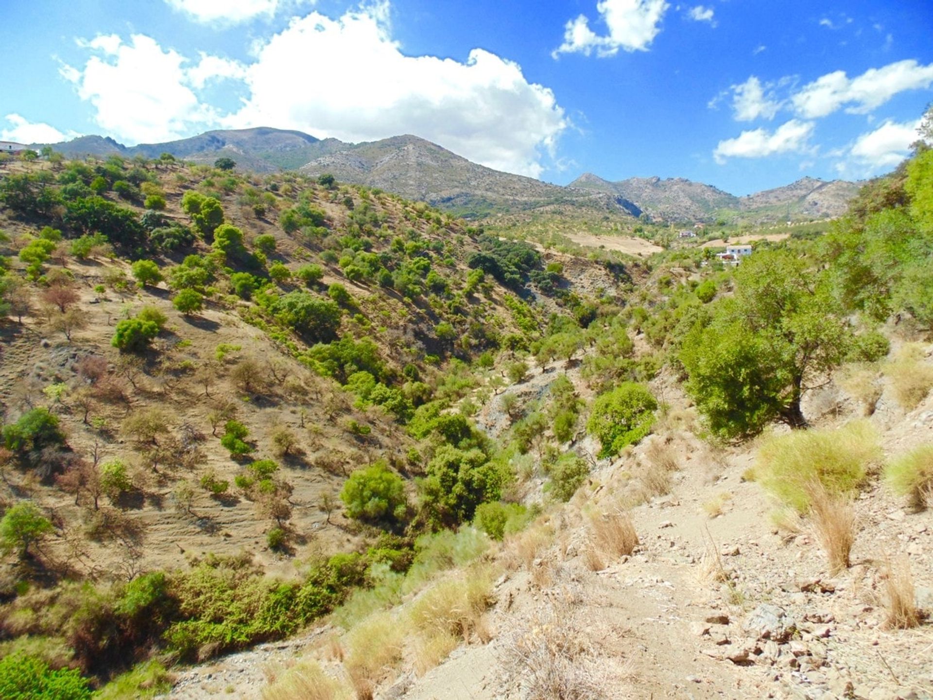 Land i Casarabonela, Andalusia 10742748