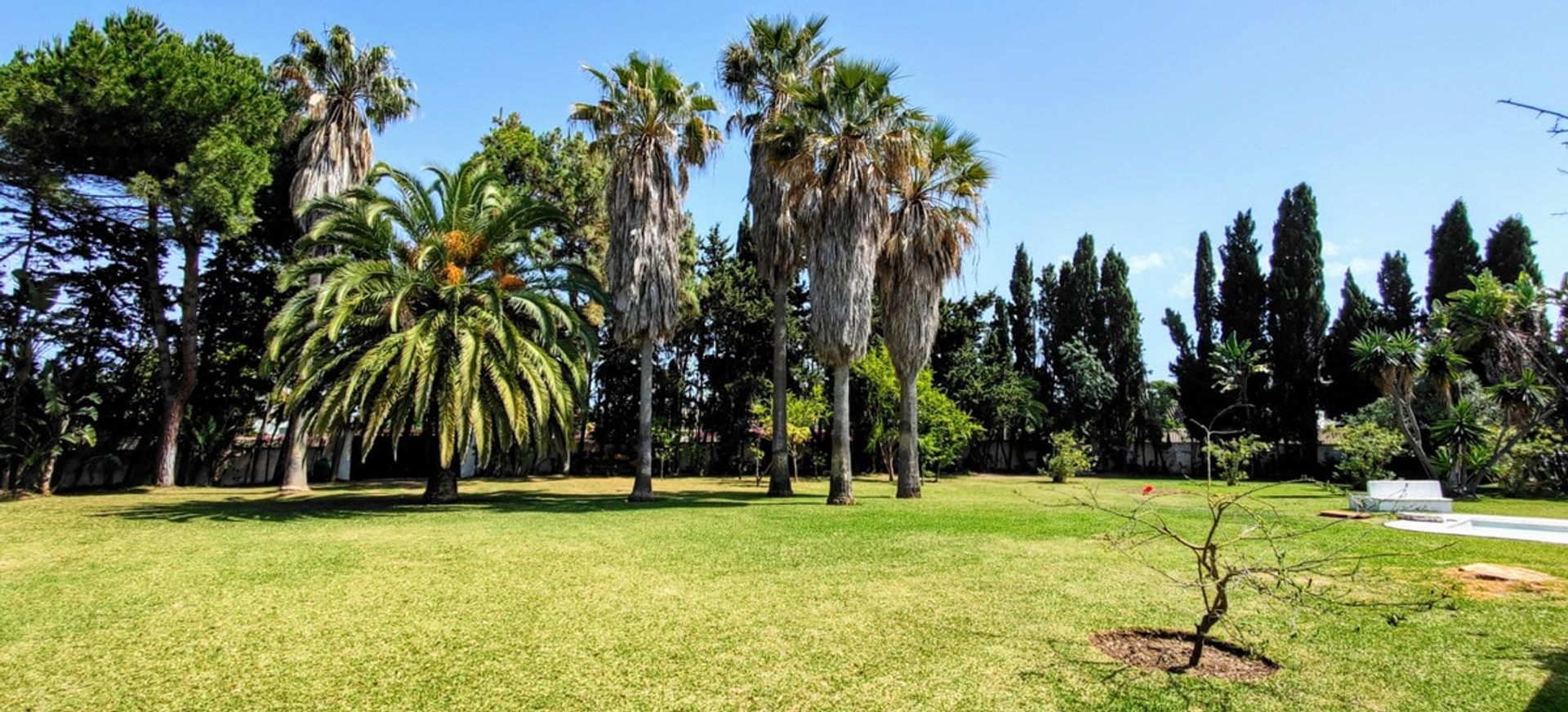 Tanah dalam Estepona, Andalucía 10742784