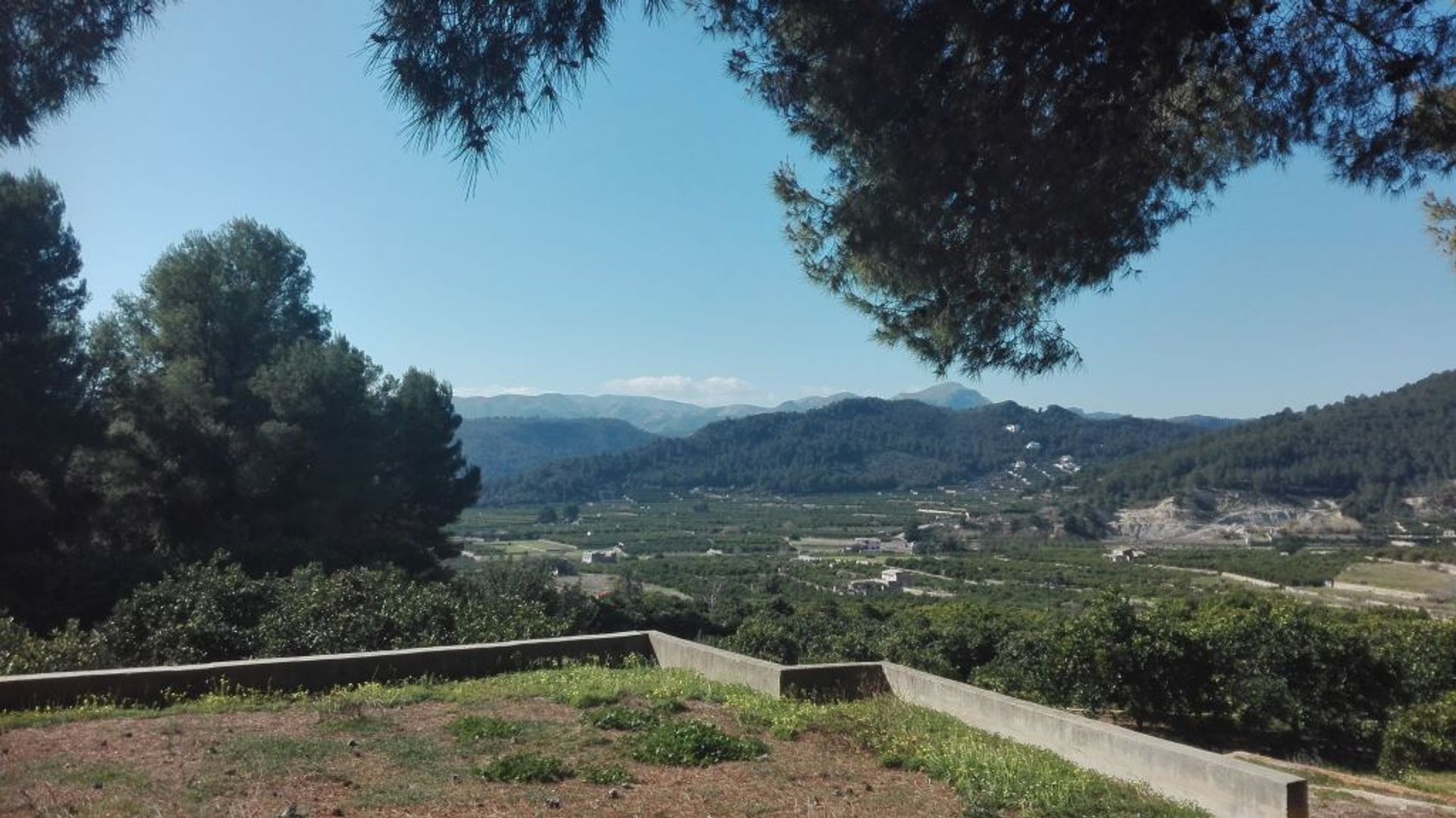 Industriel dans La Font d'en Carròs, Comunidad Valenciana 10743026