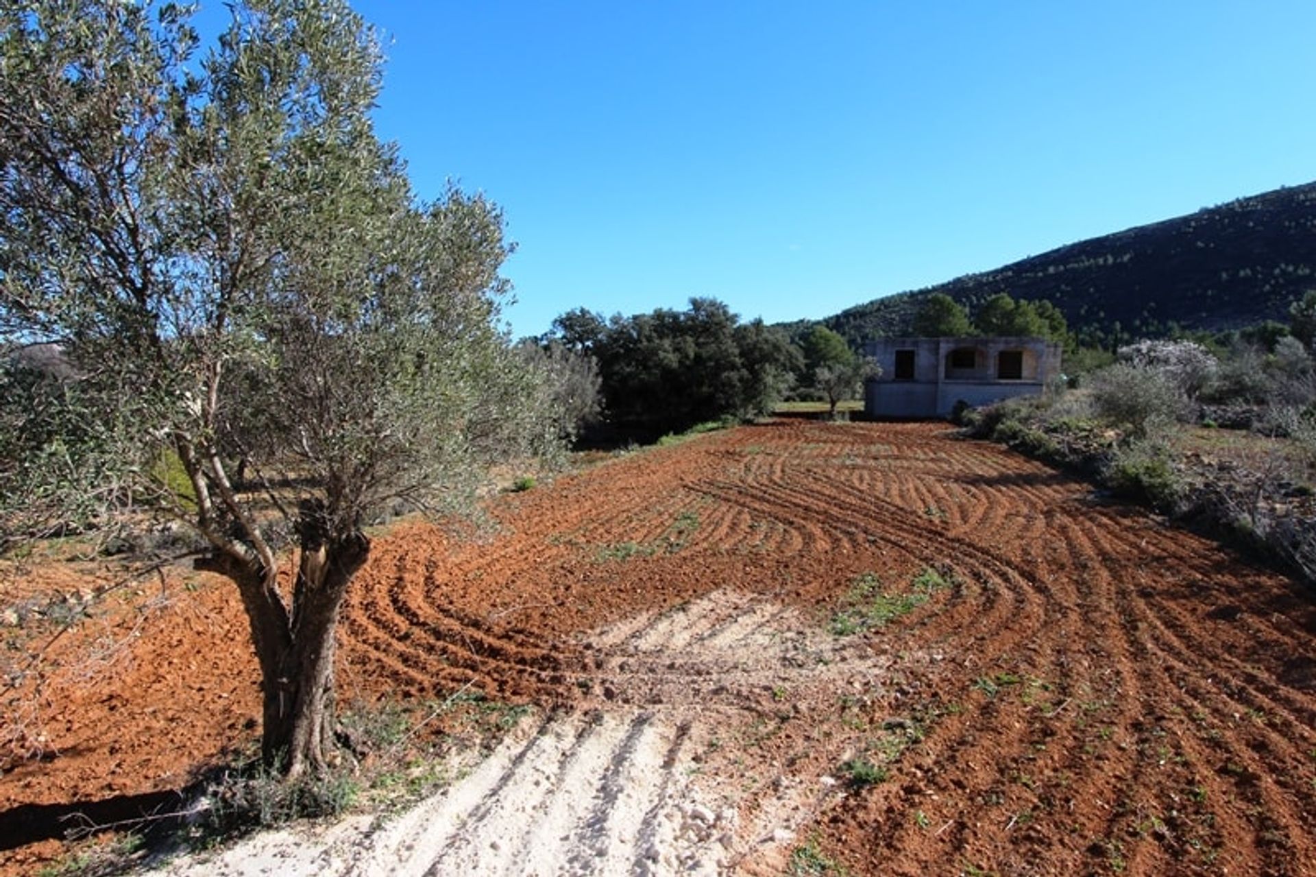 Talo sisään Xaló, Comunidad Valenciana 10743355