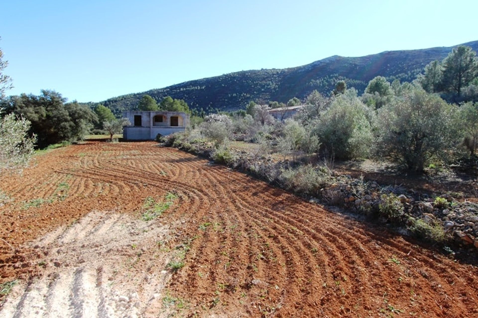 Talo sisään Xaló, Comunidad Valenciana 10743355