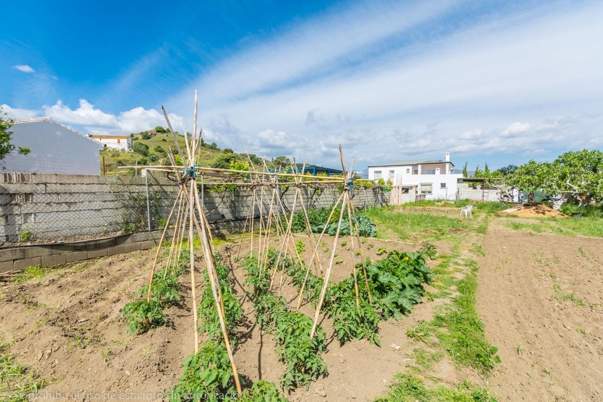 Casa nel Fuengirola, Andalusia 10743484