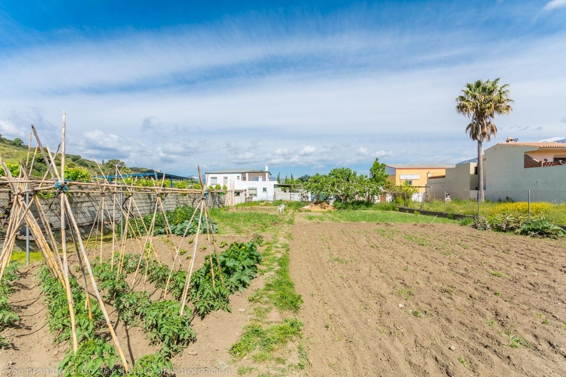 Casa nel Fuengirola, Andalusia 10743484