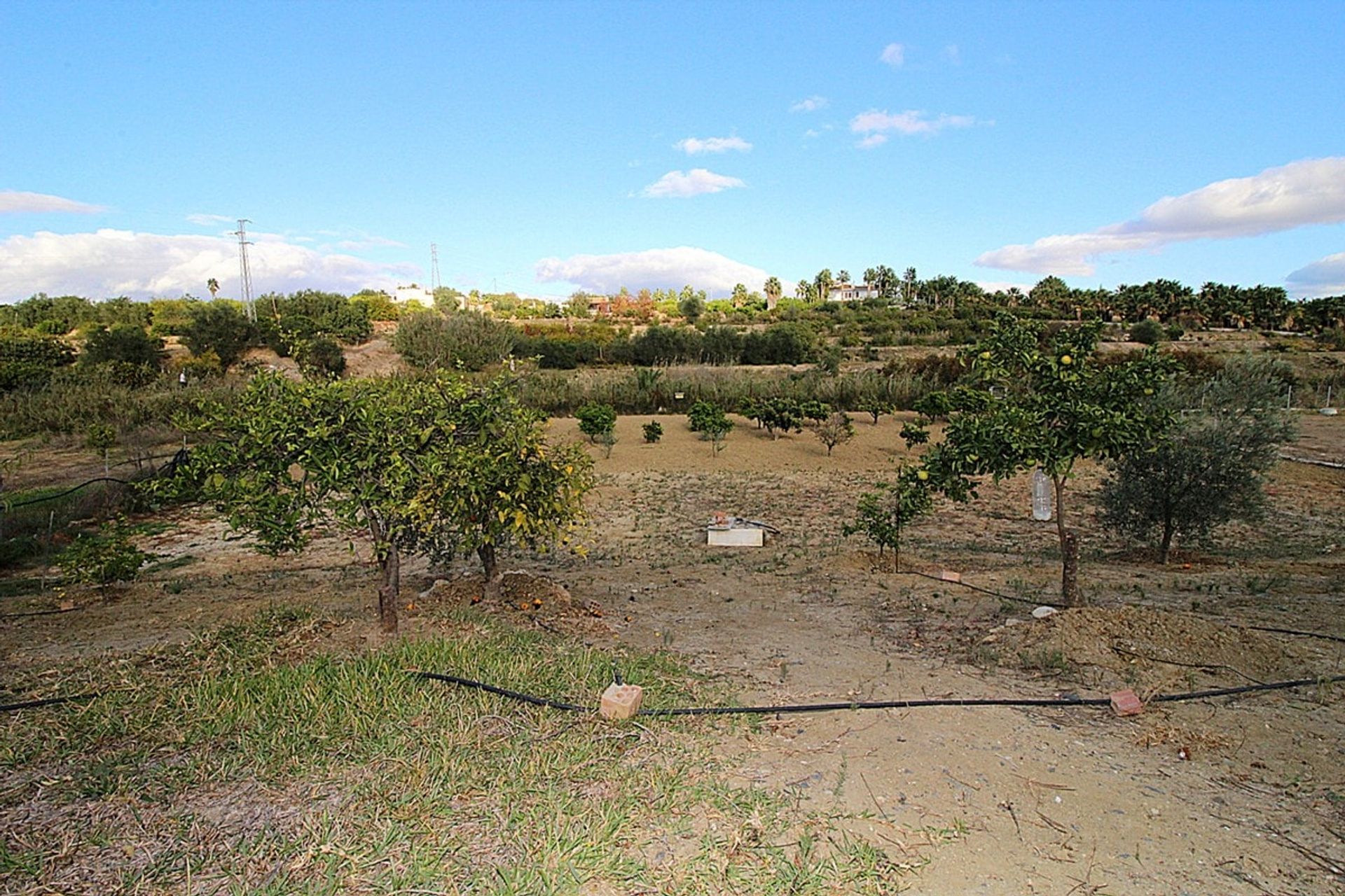 House in Alhaurin el Grande, Andalusia 10743696