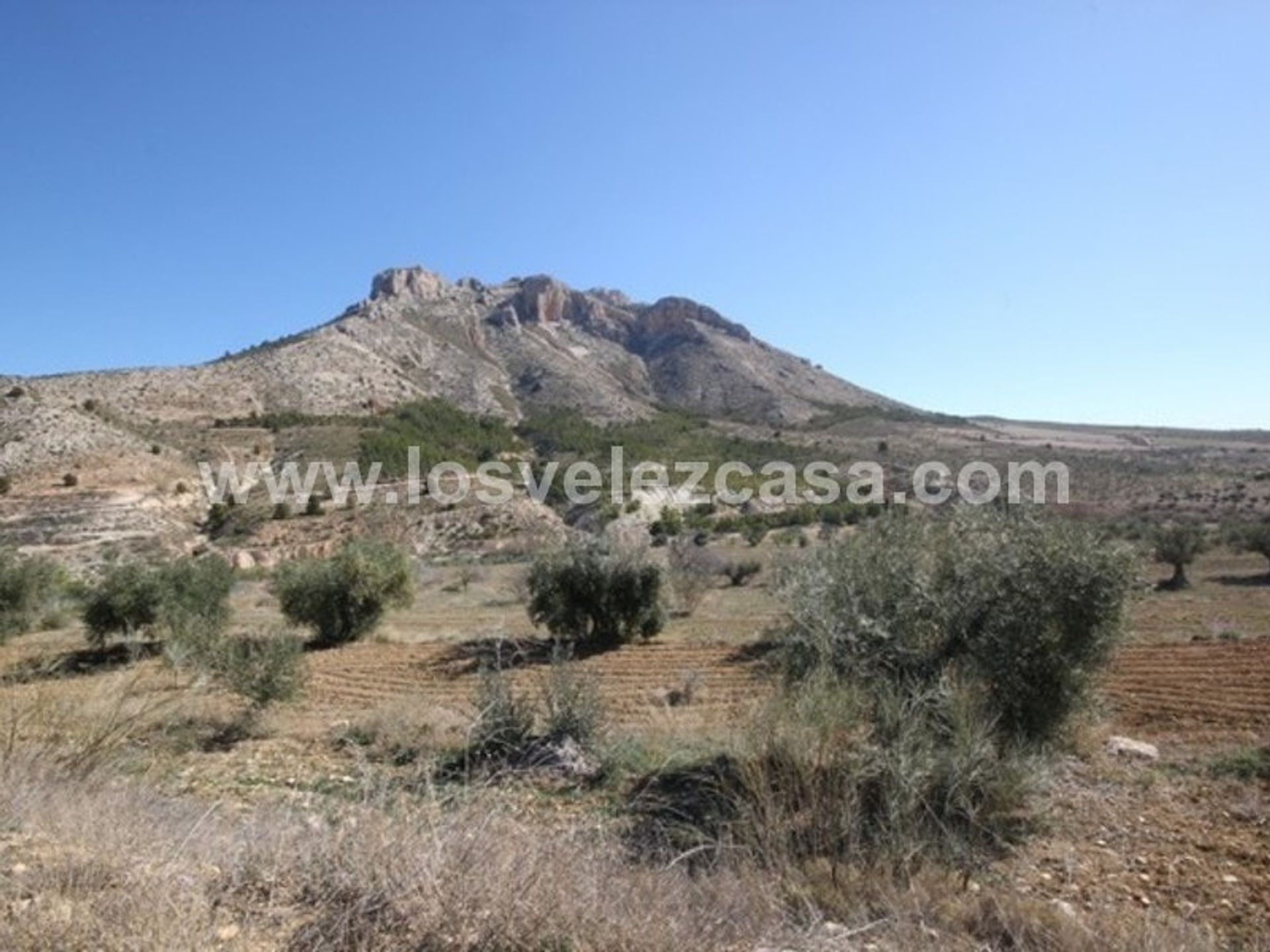 Casa nel Vélez-Rubio, Andalucía 10743772