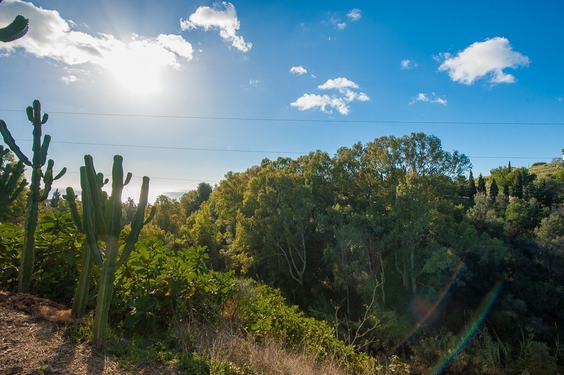 Land in Arroyo de la Miel, Andalusia 10744031