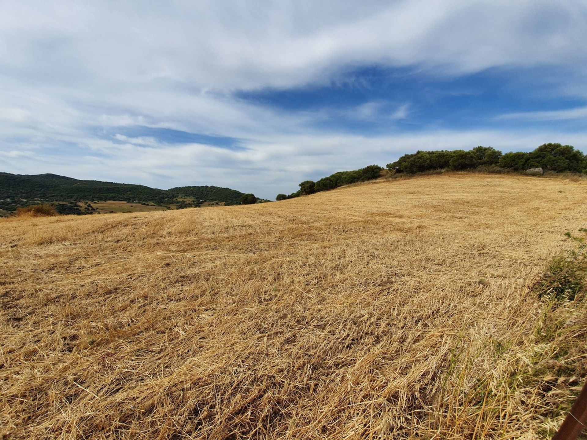 Tierra en Casares, Andalucía 10744313