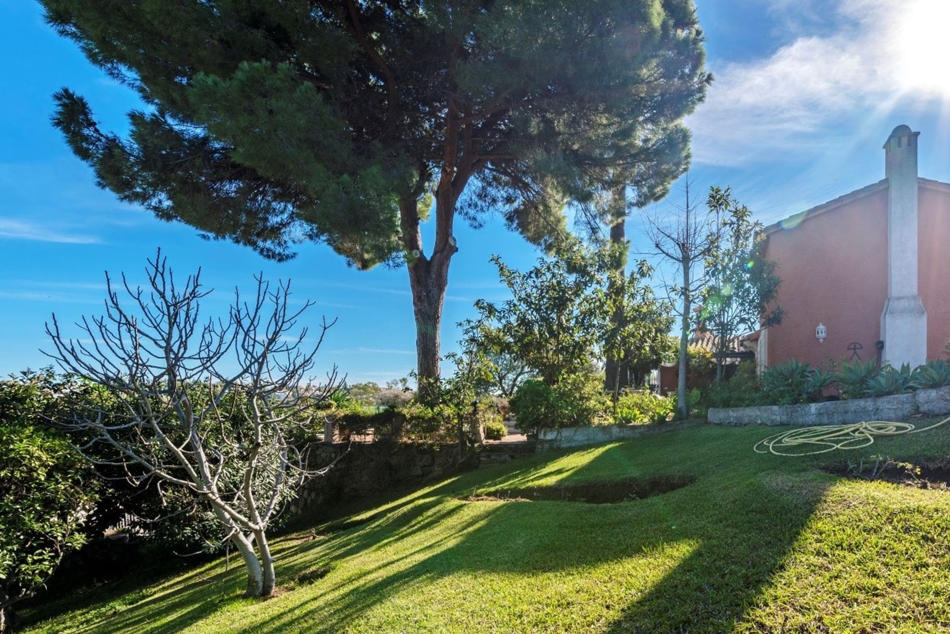 House in San Pedro de Alcántara, Andalusia 10744554