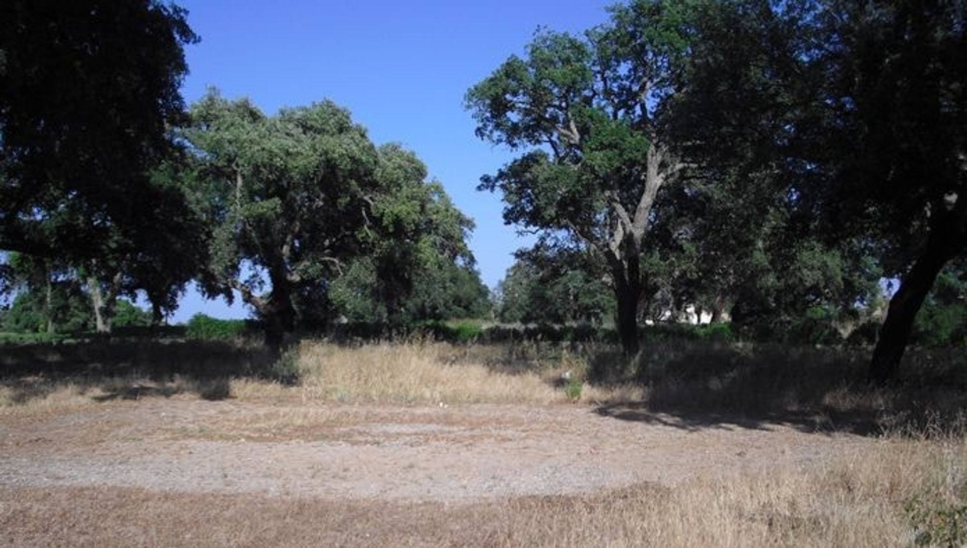 Tierra en San Roque, Andalucía 10744587