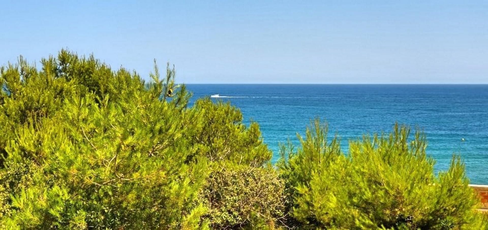 Land in Javea, Valencia 10744590