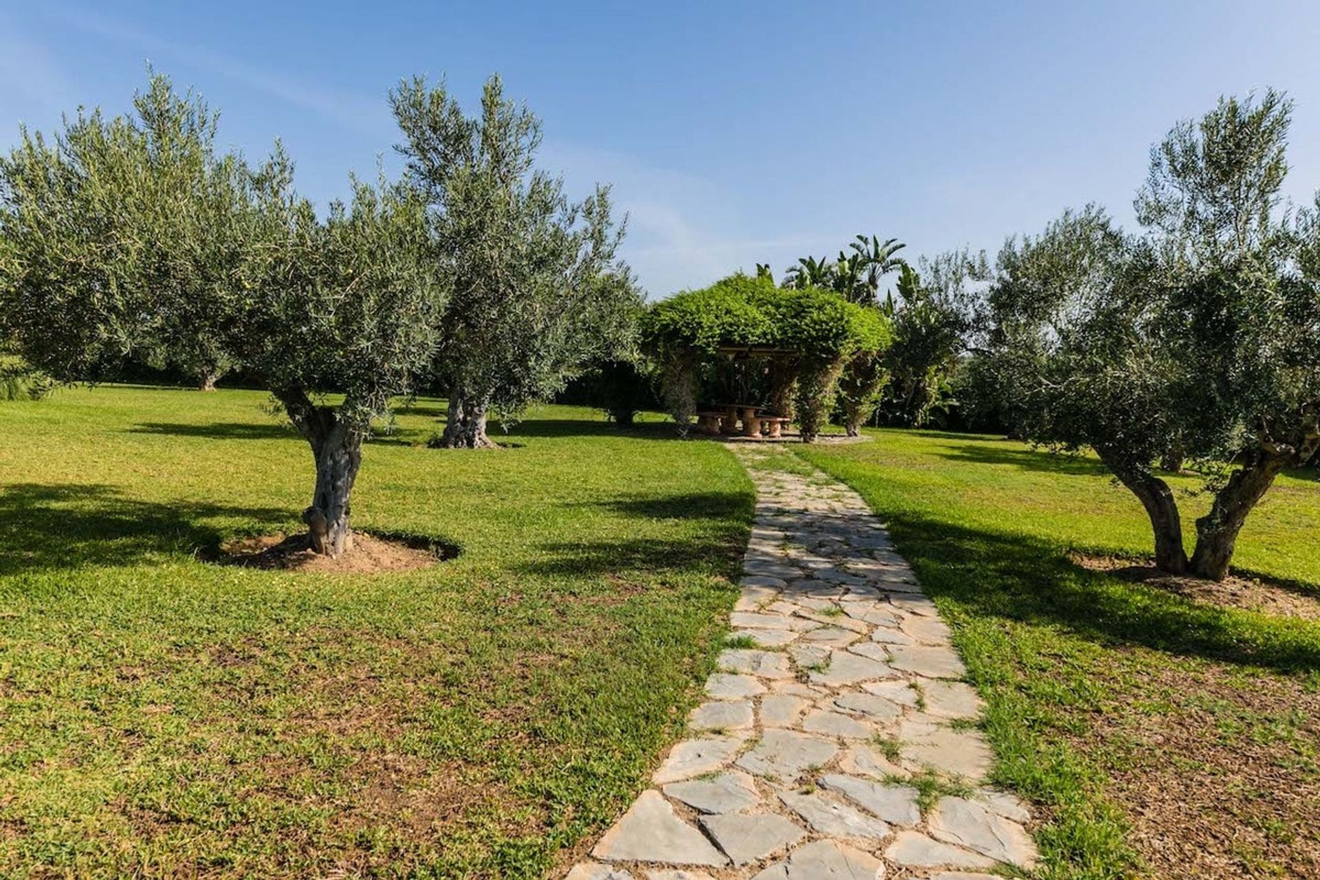 casa en Alhaurín el Grande, Andalucía 10745146