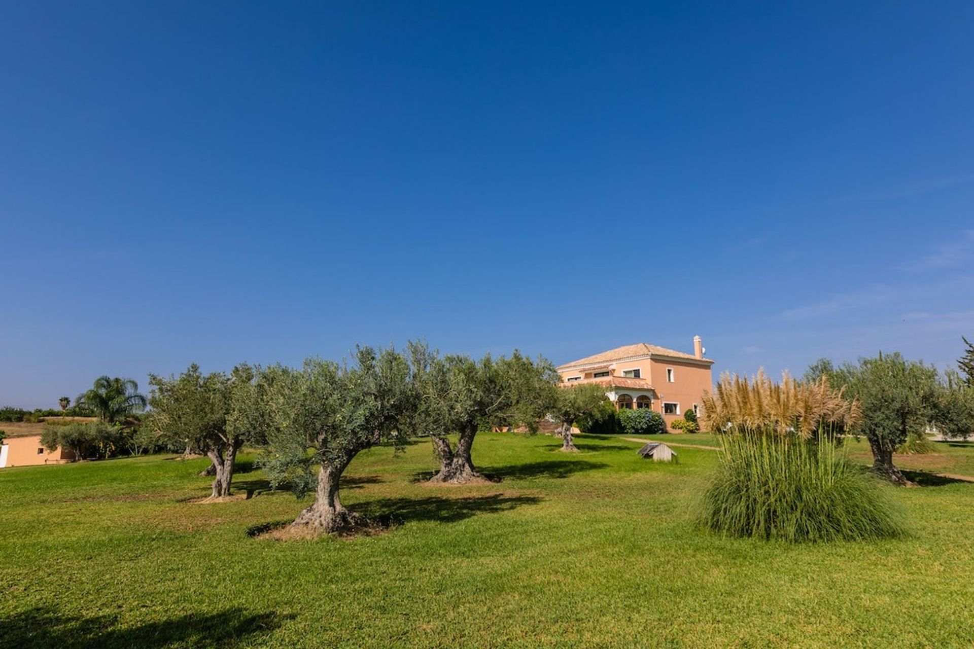 casa en Alhaurín el Grande, Andalucía 10745146