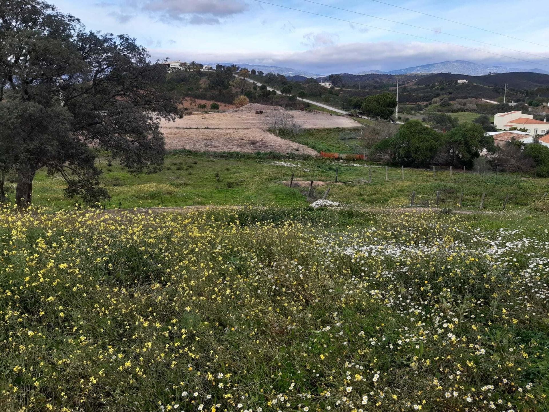 ארץ ב , Faro District 10745370