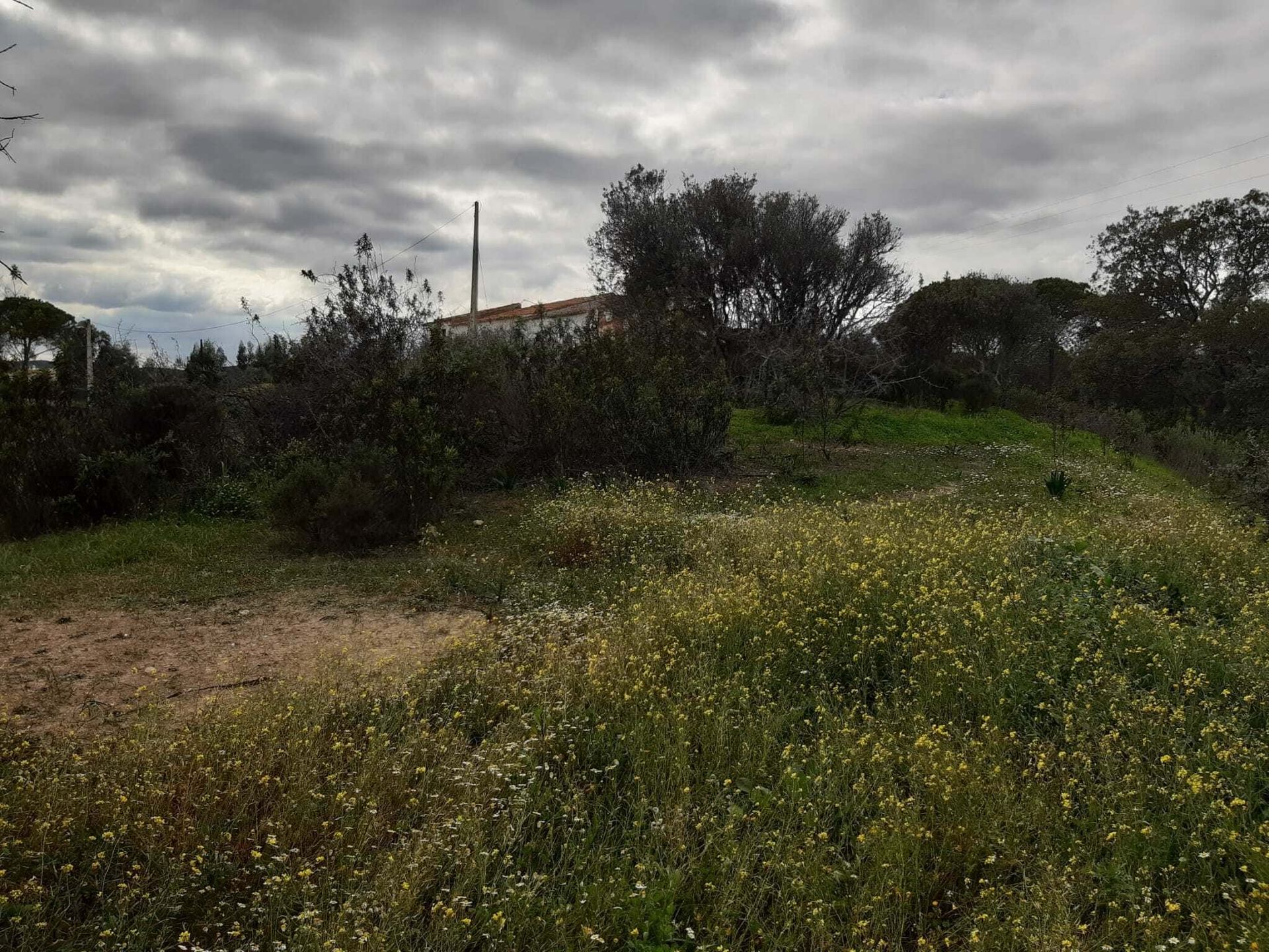 Land in , Faro District 10745370