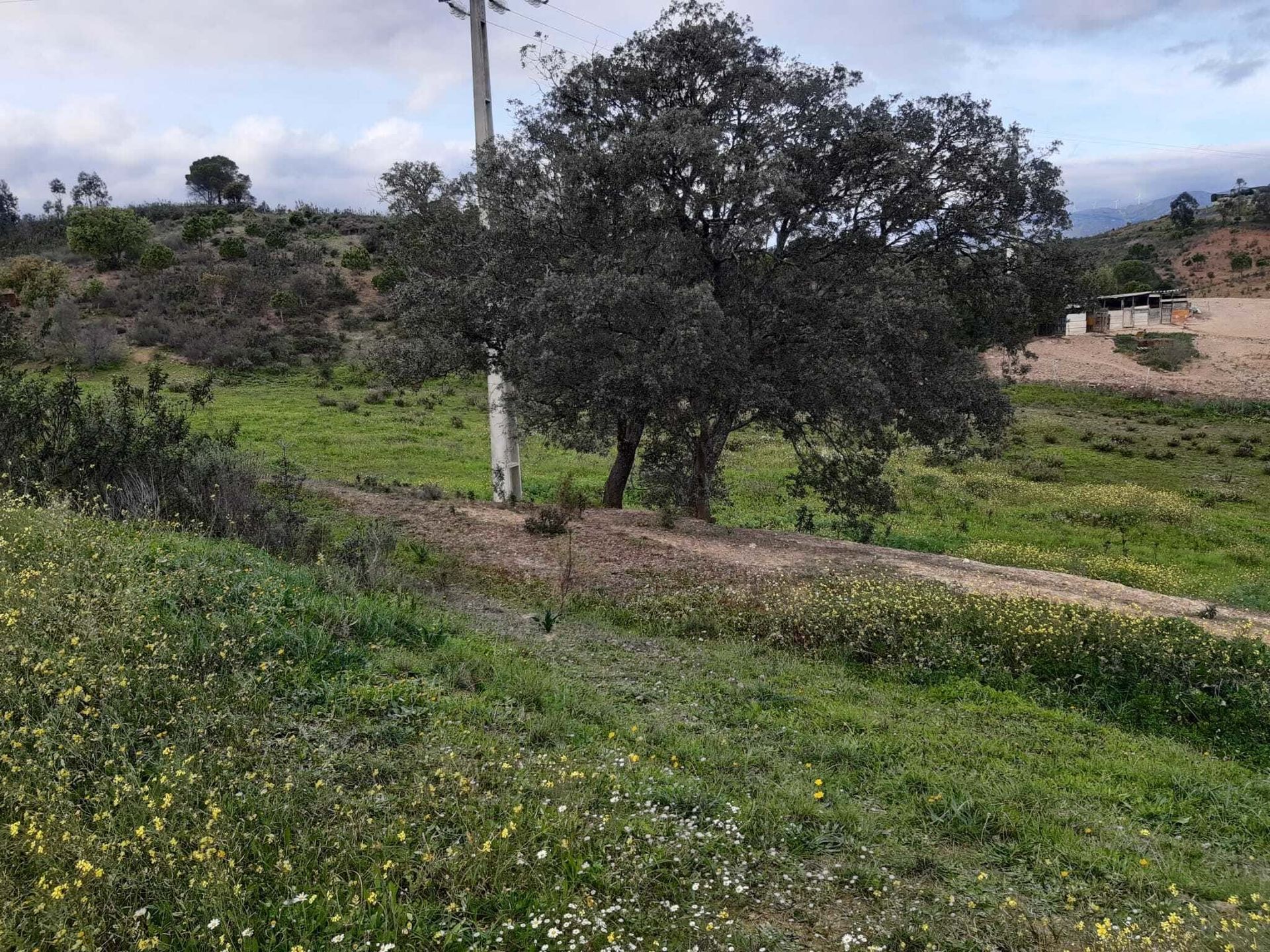 Land in , Faro District 10745370