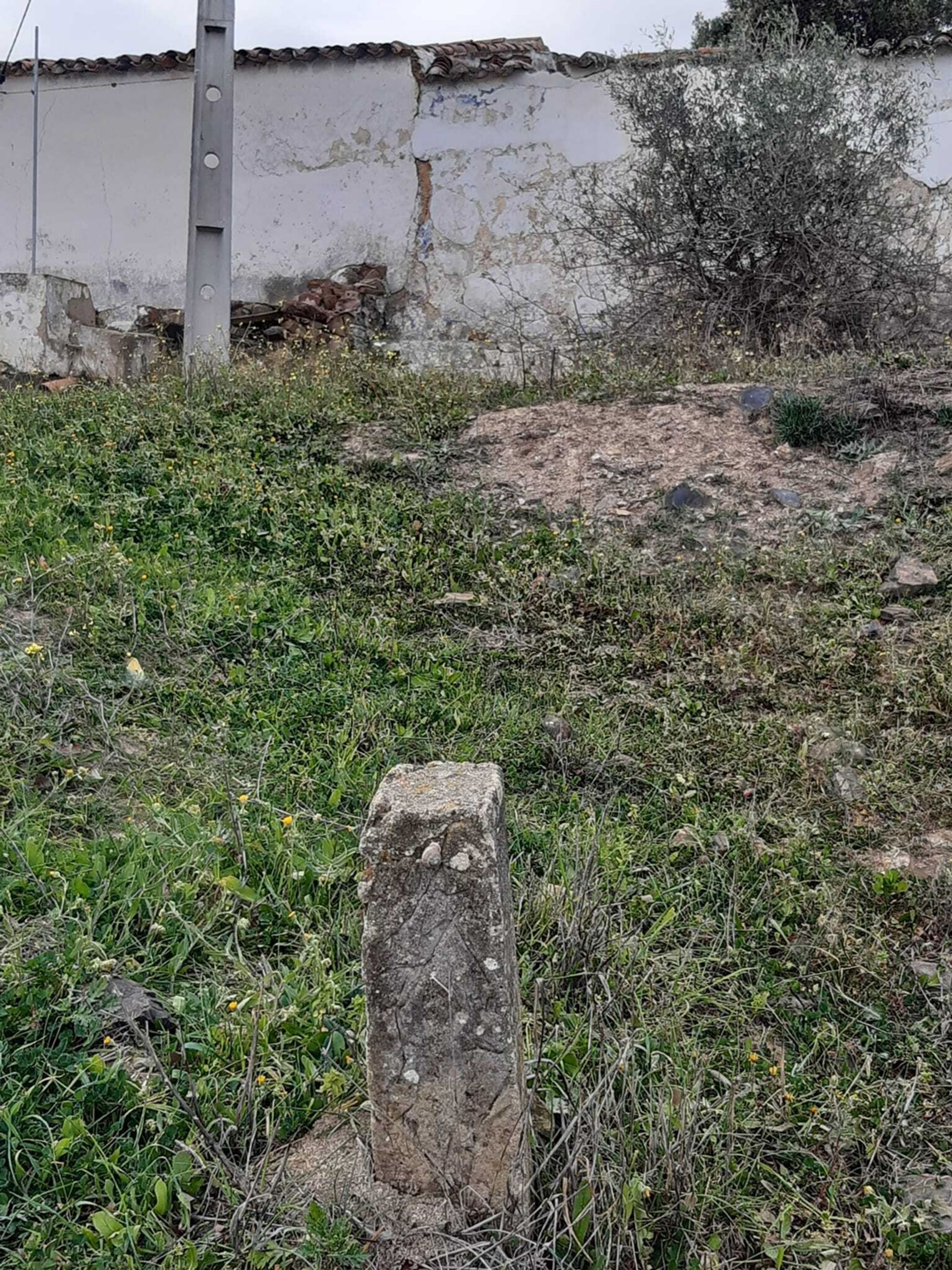 Land in Odiaxere, Faro 10745370