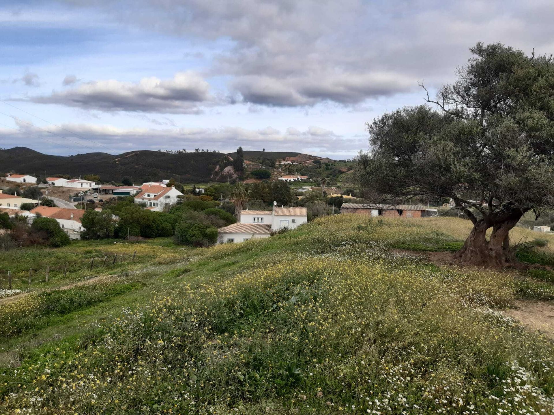 ארץ ב , Faro District 10745370