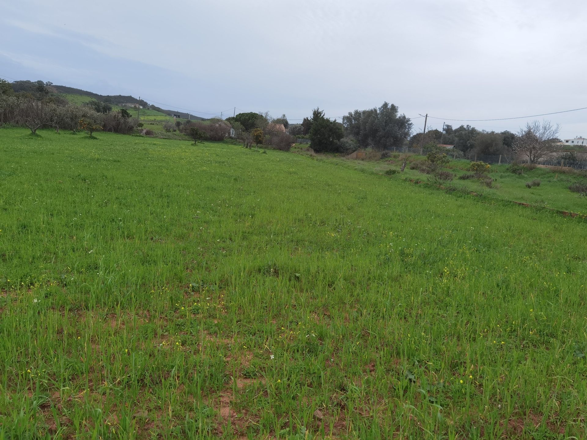 Land in Lagos, Faro District 10745371