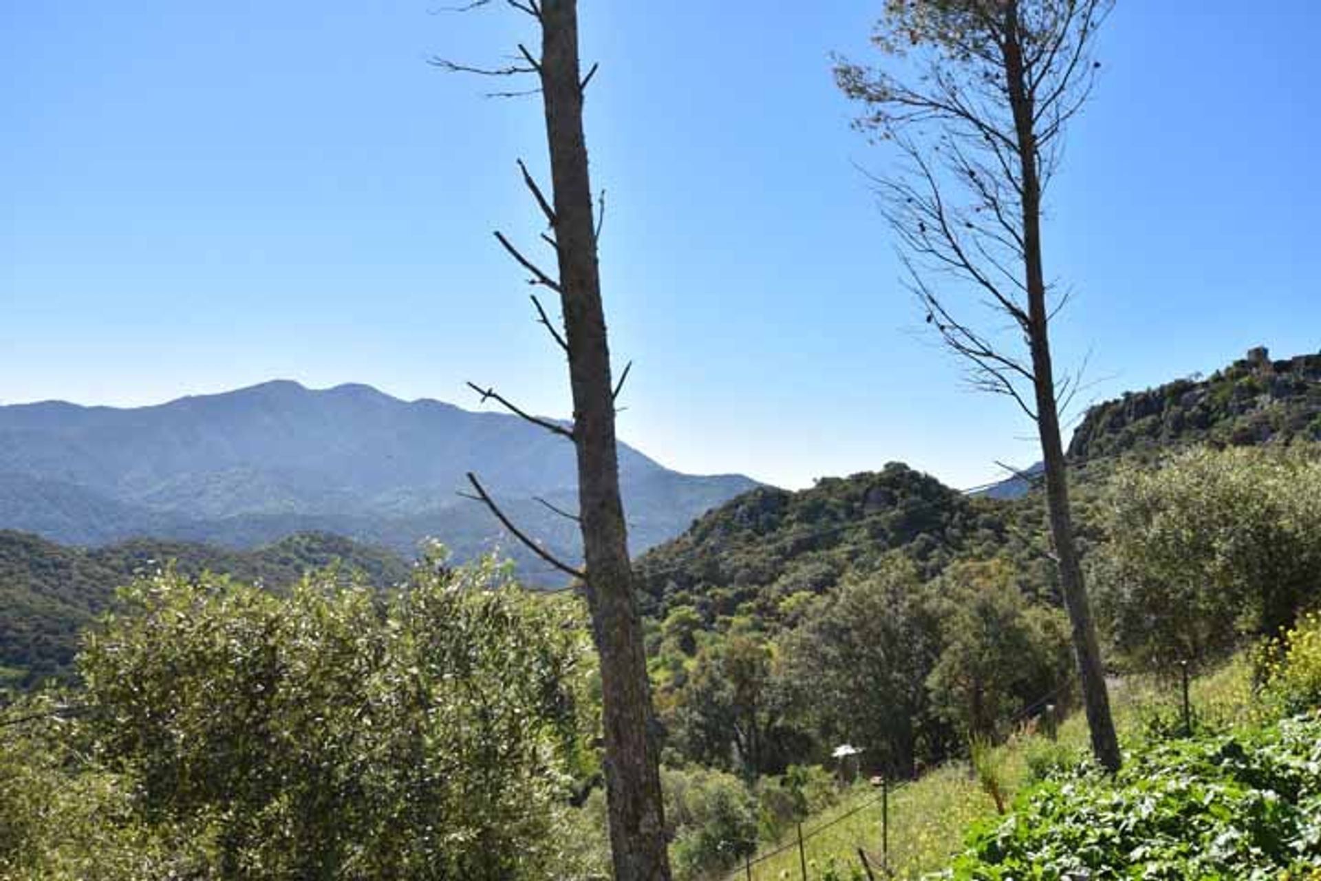 жилой дом в Gaucín, Andalucía 10745386