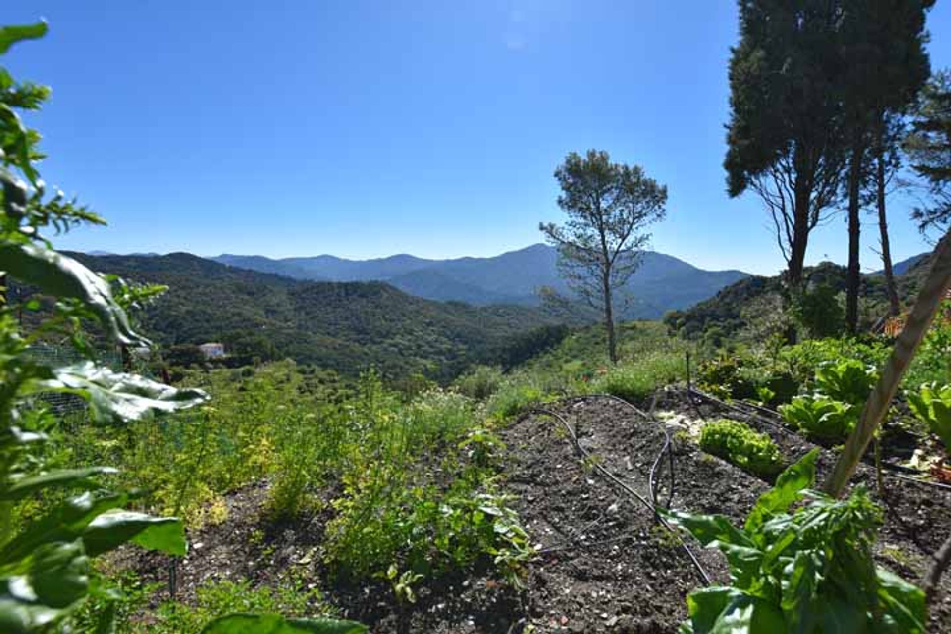 жилой дом в Gaucín, Andalucía 10745386