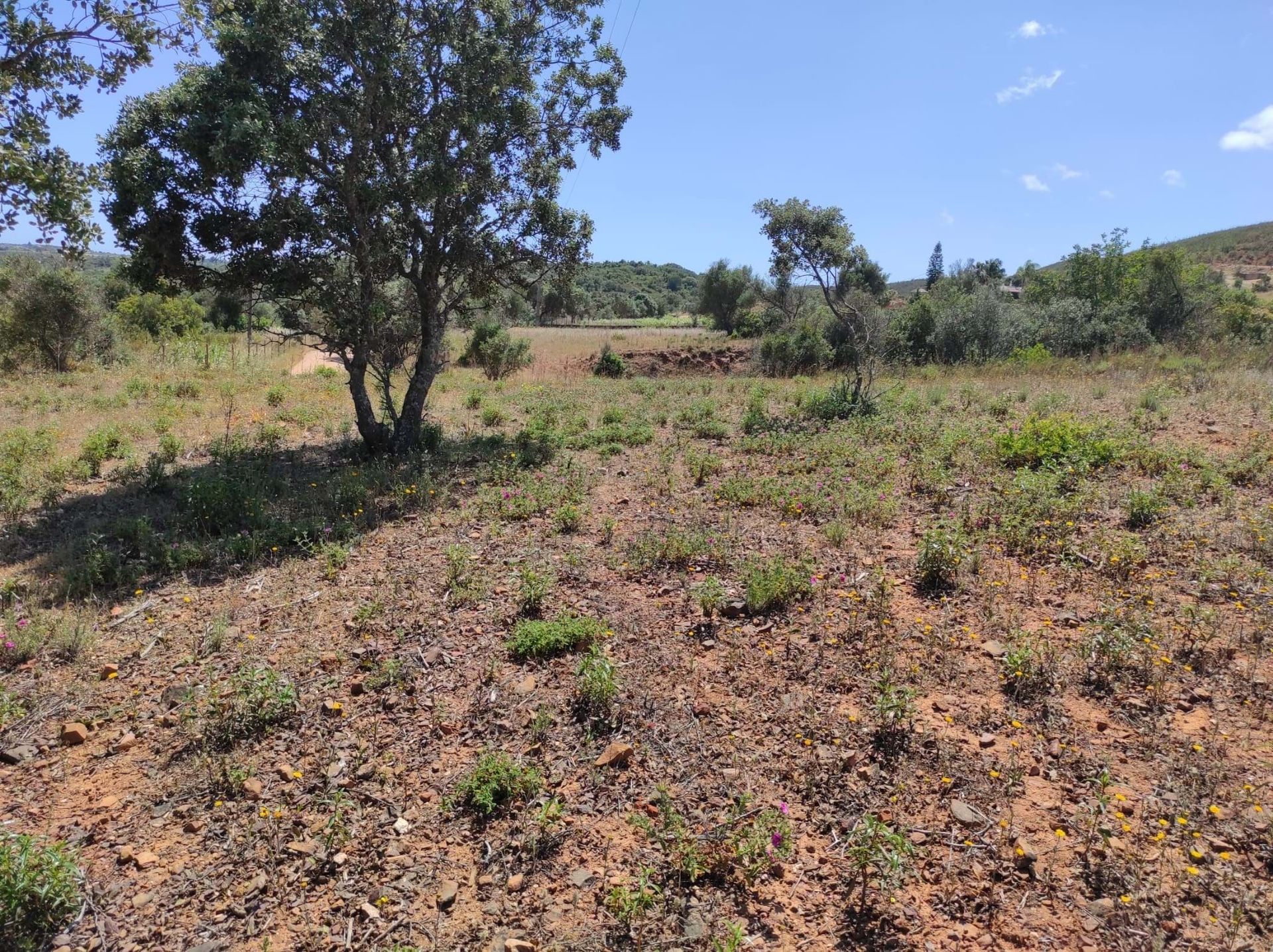 Land in Mexilhoeira Grande, Faro 10745470