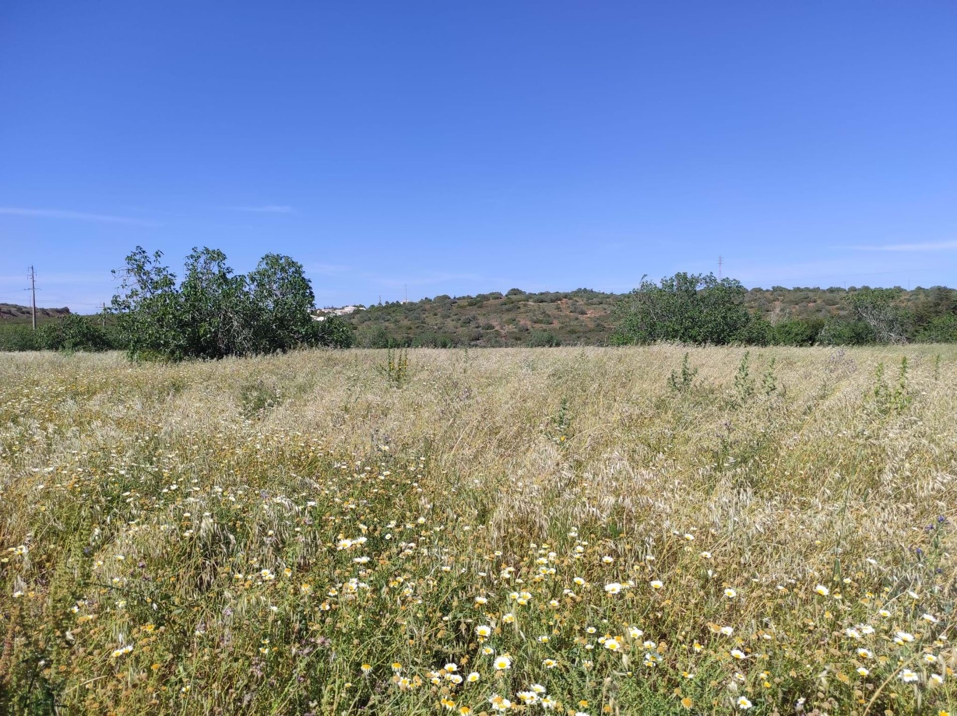 Tierra en Lagos, Faro District 10745473