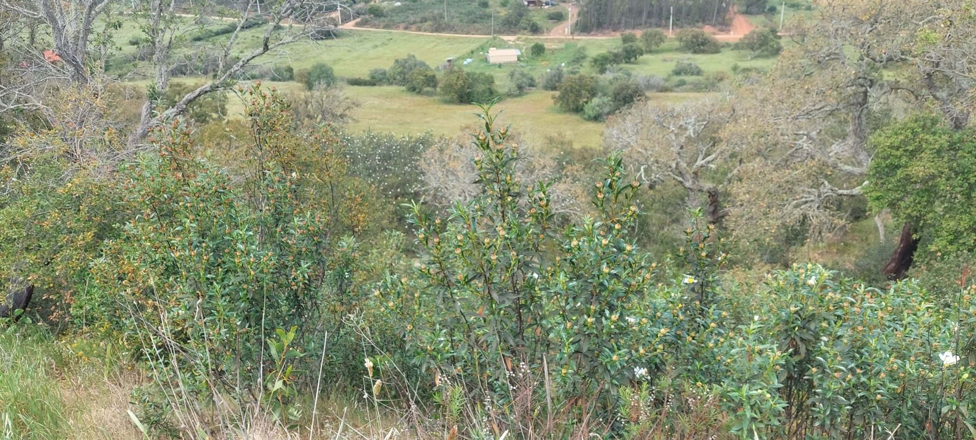 Tanah dalam Vila do Bispo, Faro District 10745474