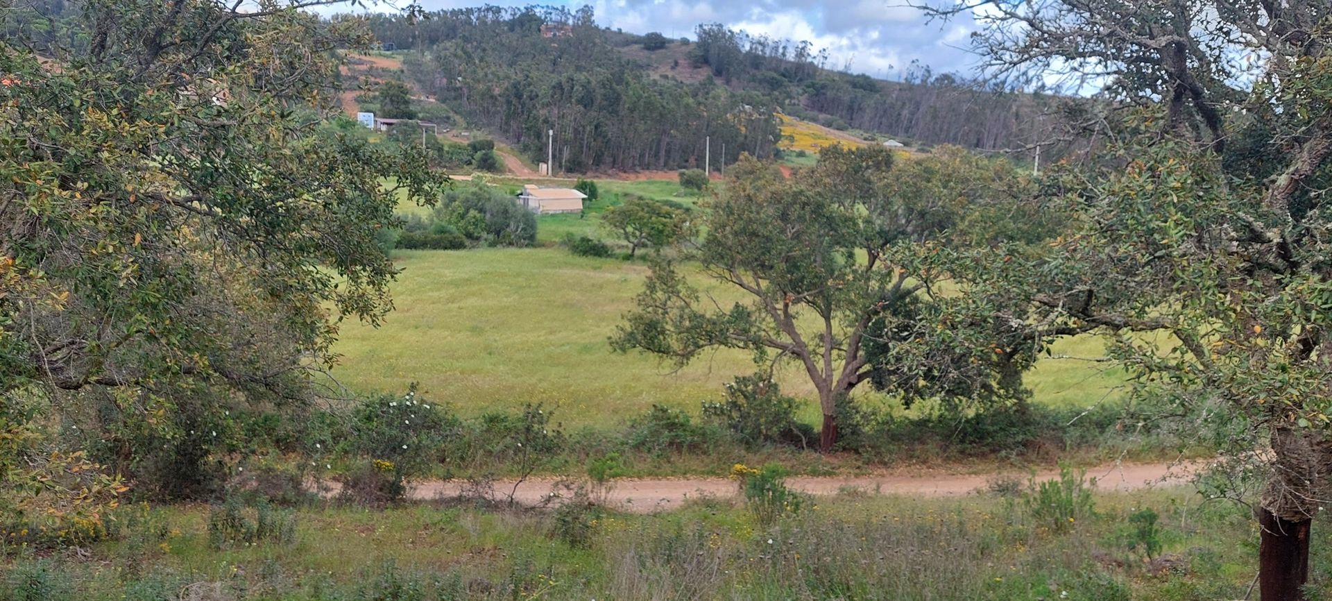 Tanah dalam Vila do Bispo, Faro District 10745474