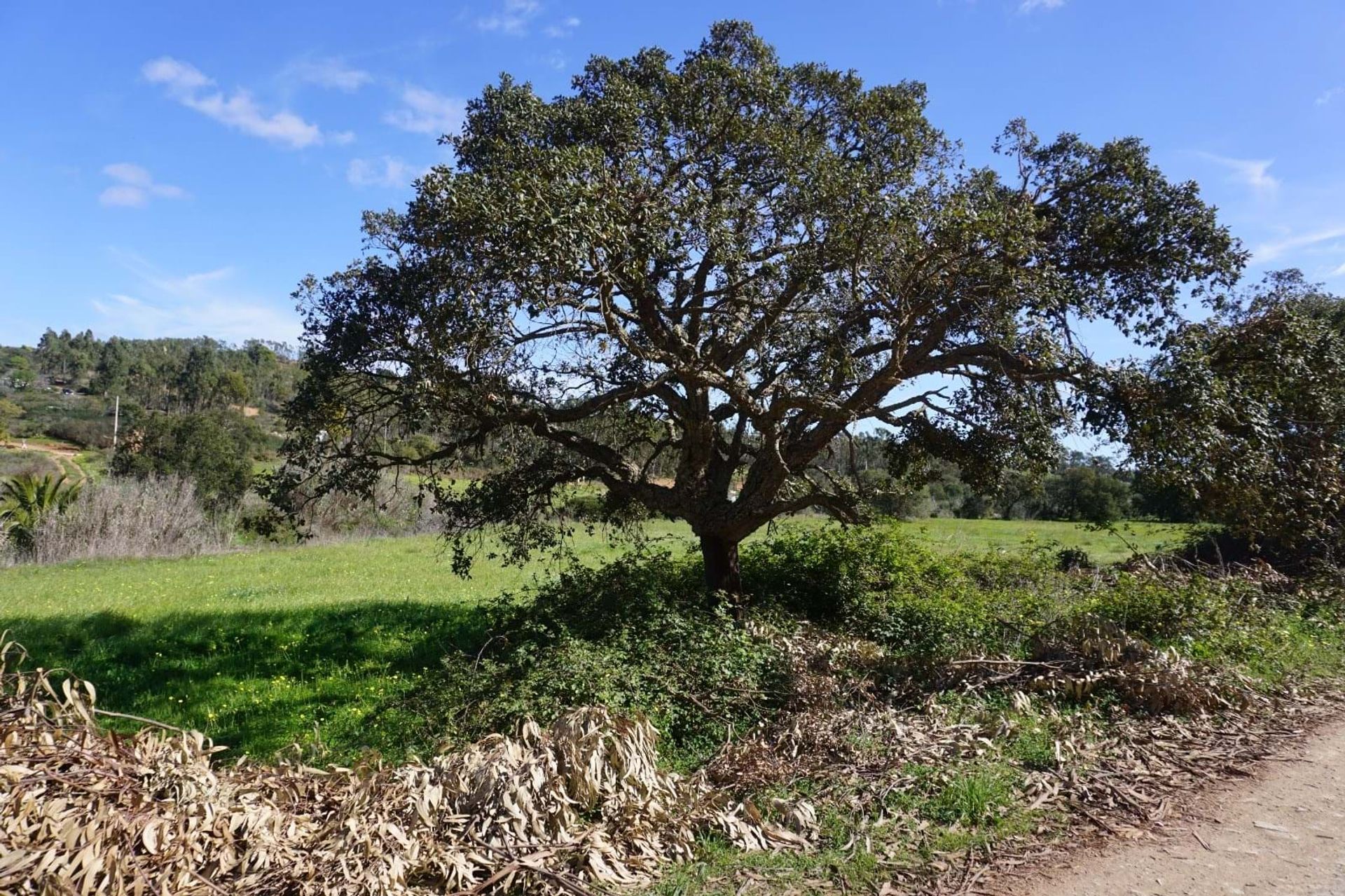 Tanah dalam Vila do Bispo, Faro District 10745474