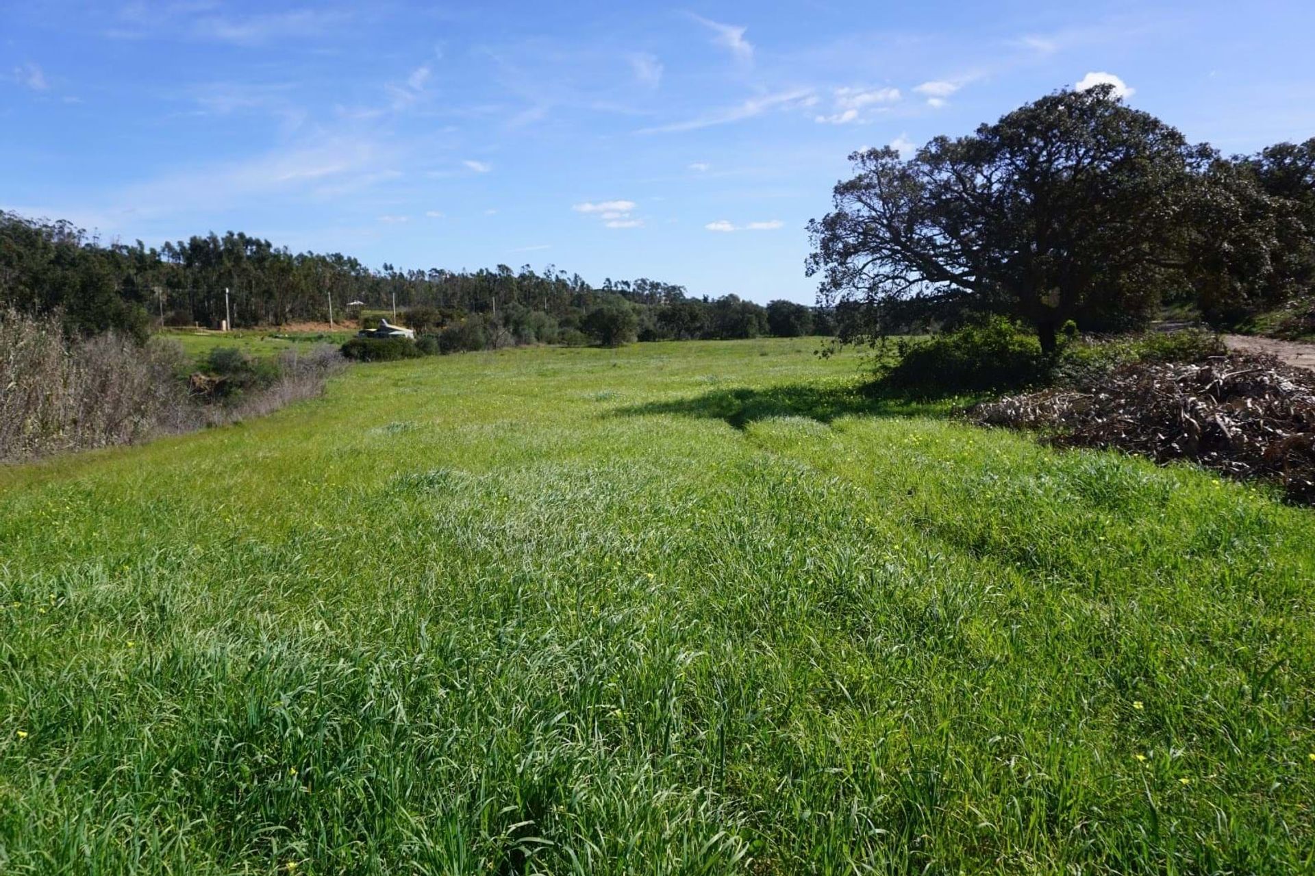 Wylądować w Vila do Bispo, Faro District 10745474